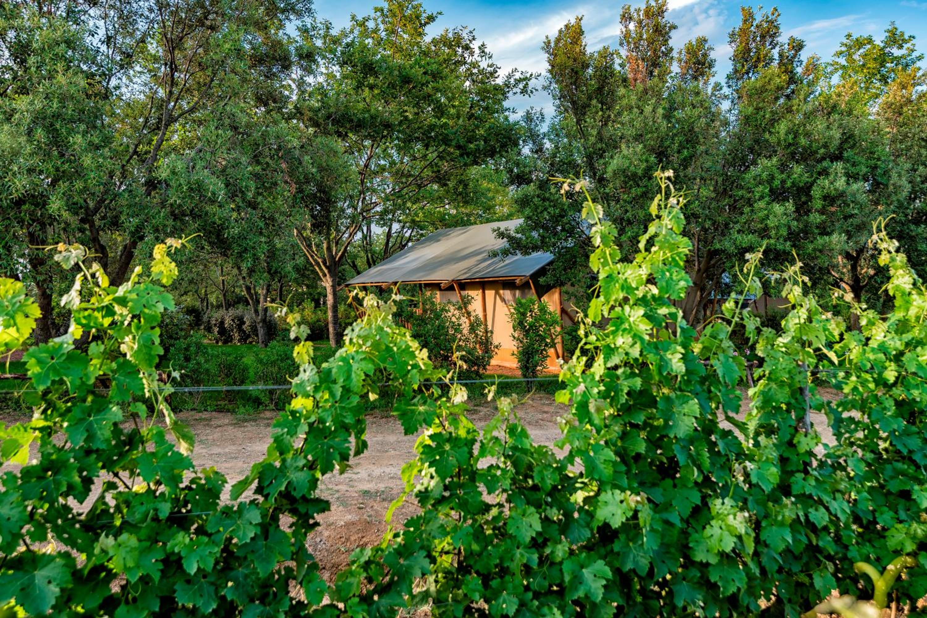 Glamping Tenuta Poggio Rosso
