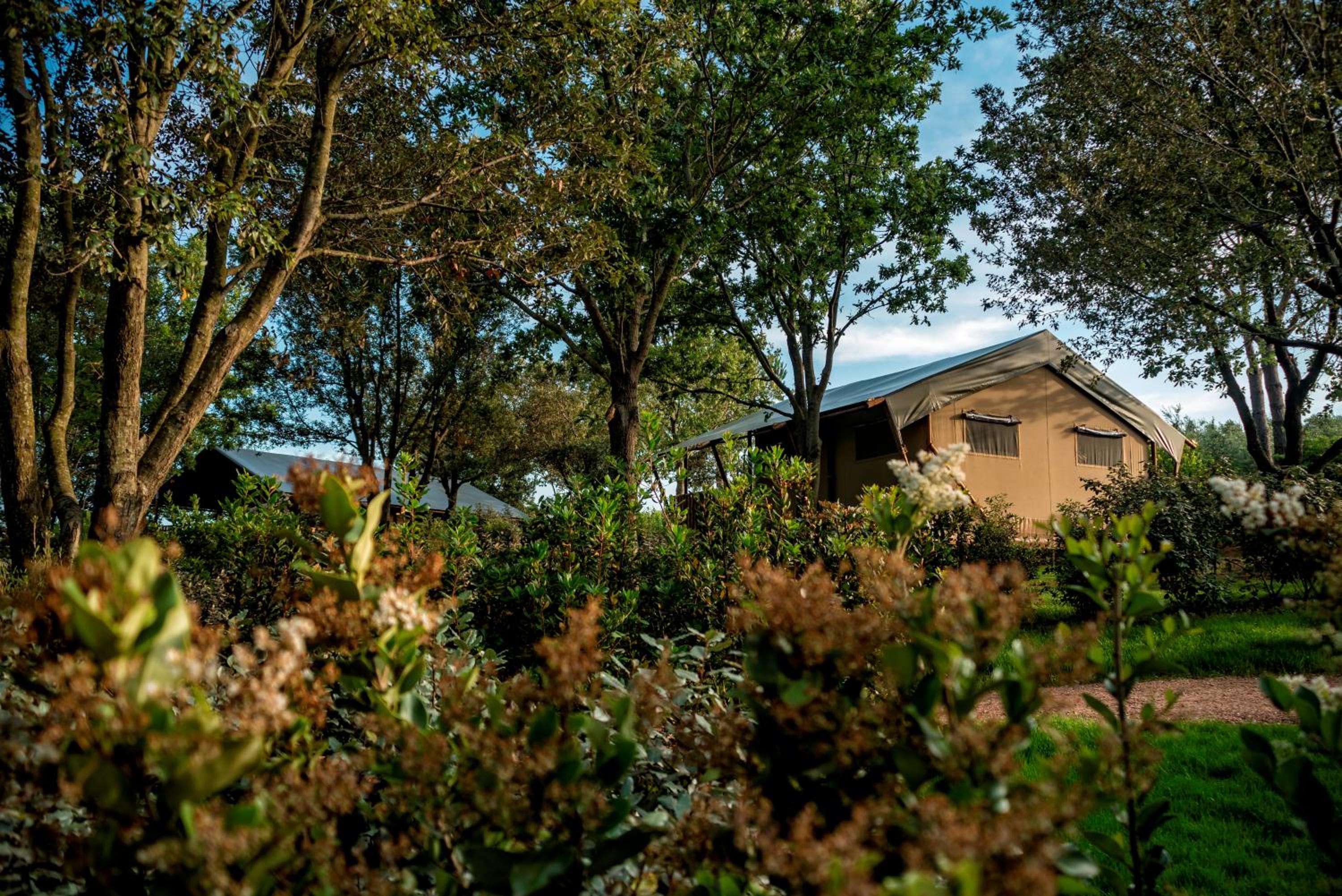 Glamping Tenuta Poggio Rosso
