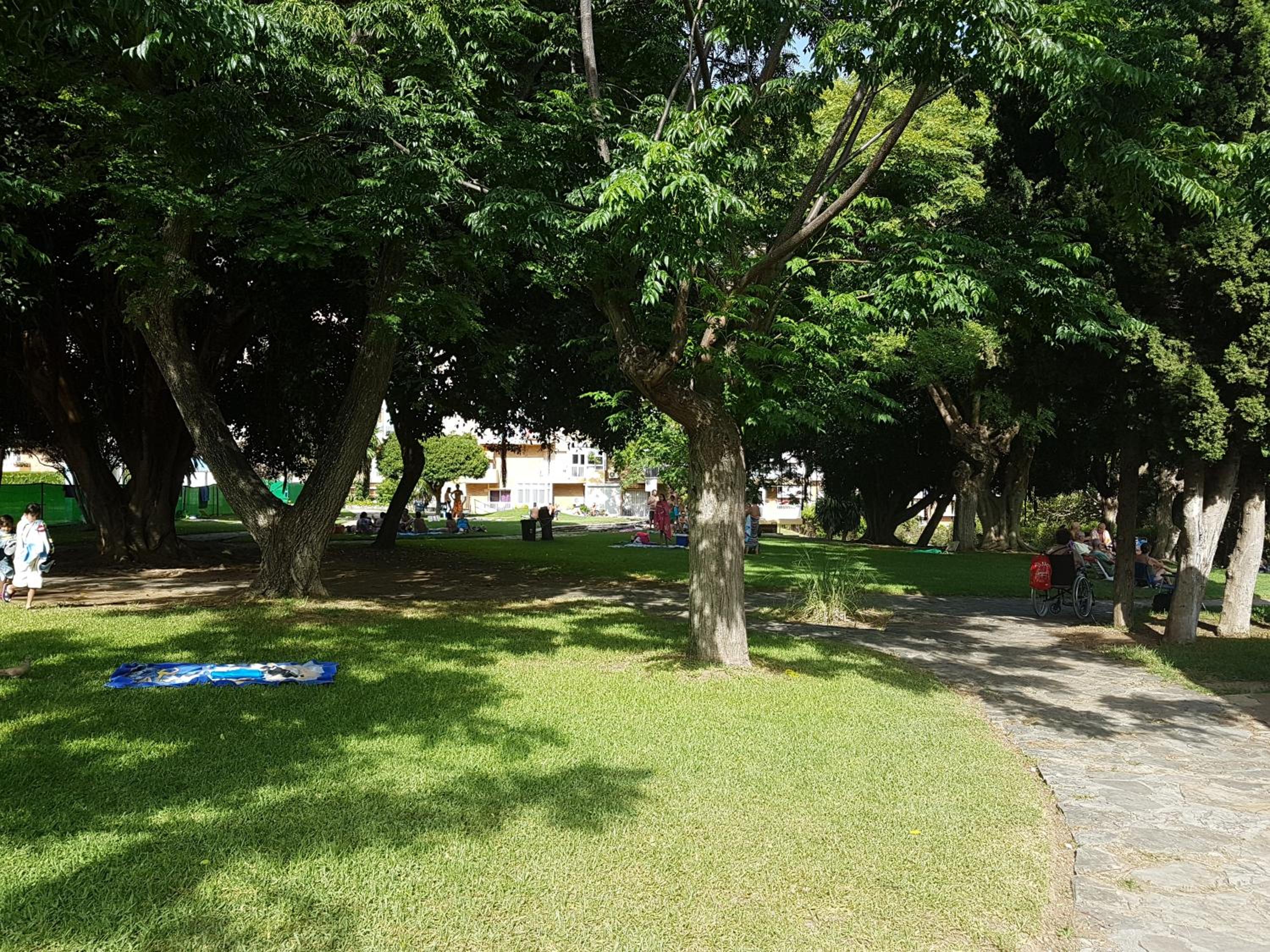 Photo 29