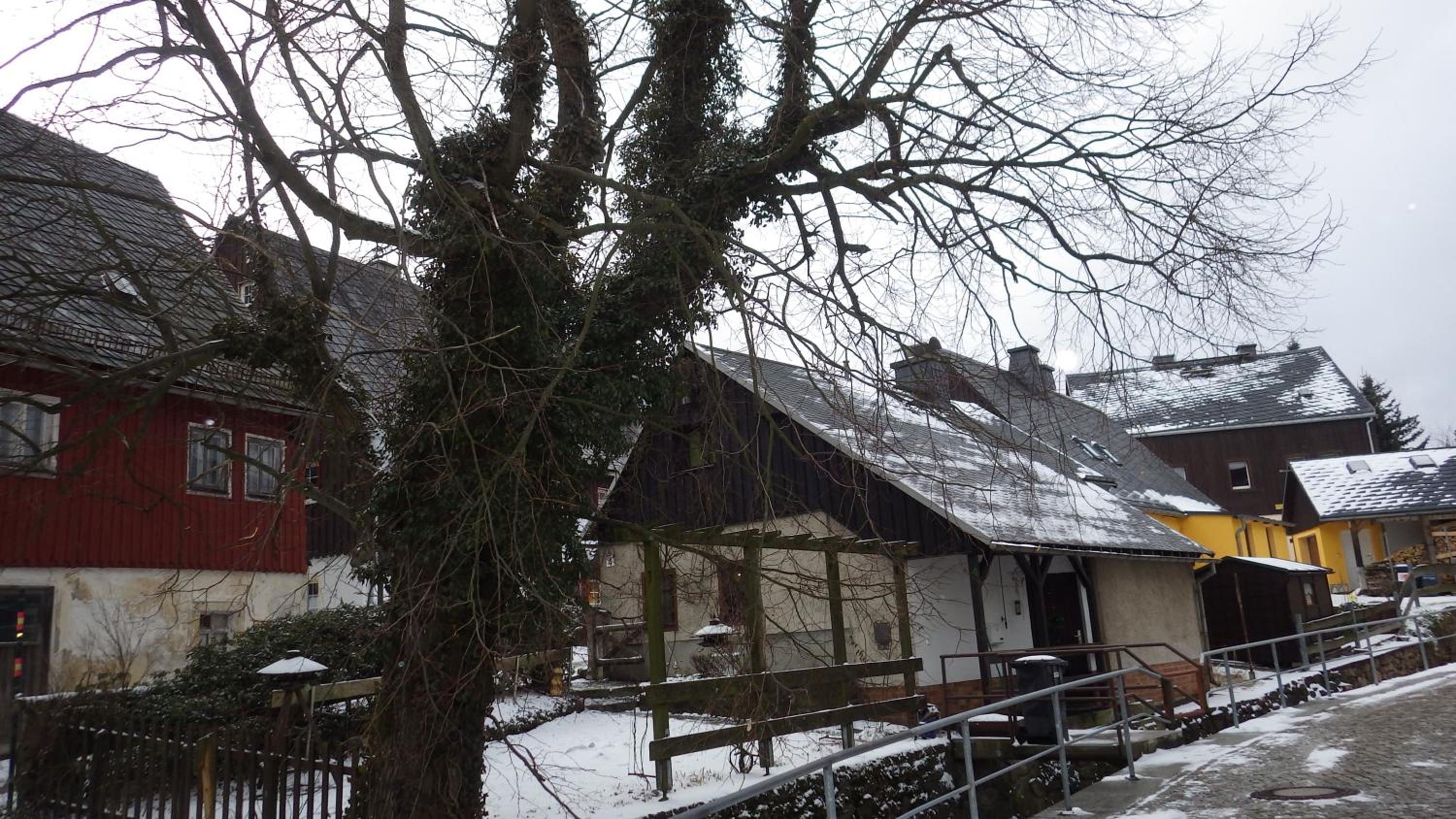 Ferienhaus Frieda