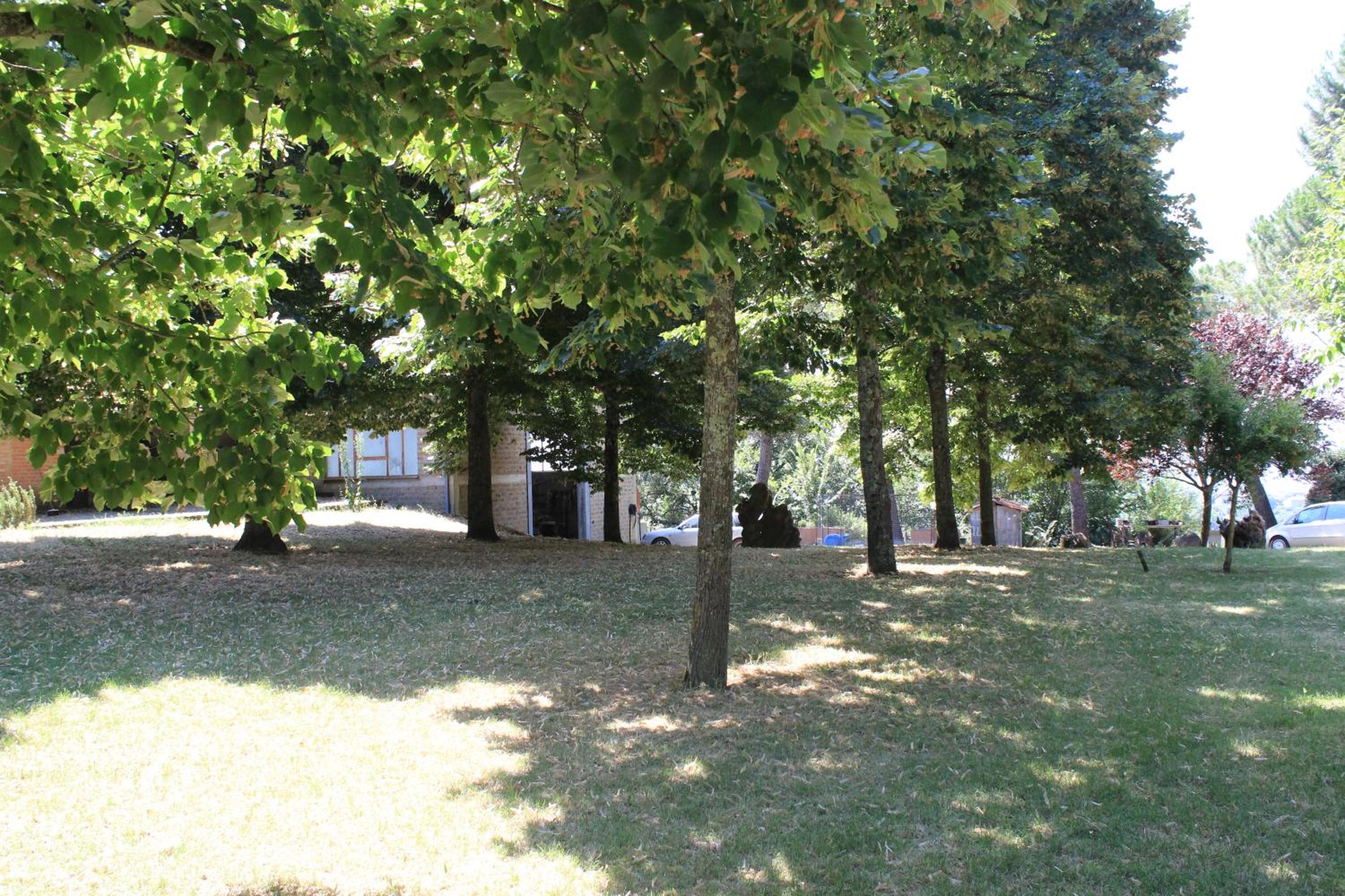 Photo 29