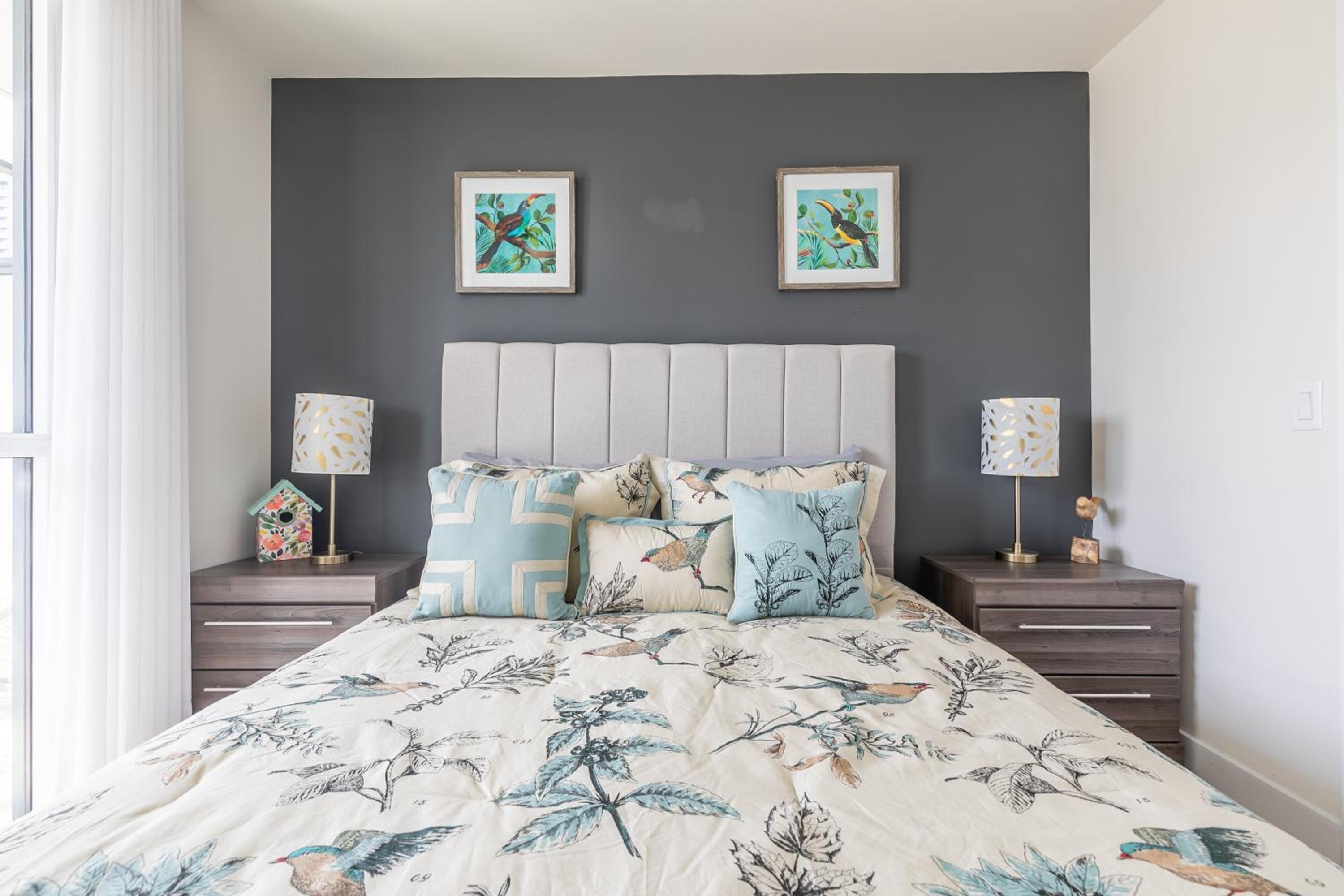 Paradise Birds 1 Bedroom in Downtown