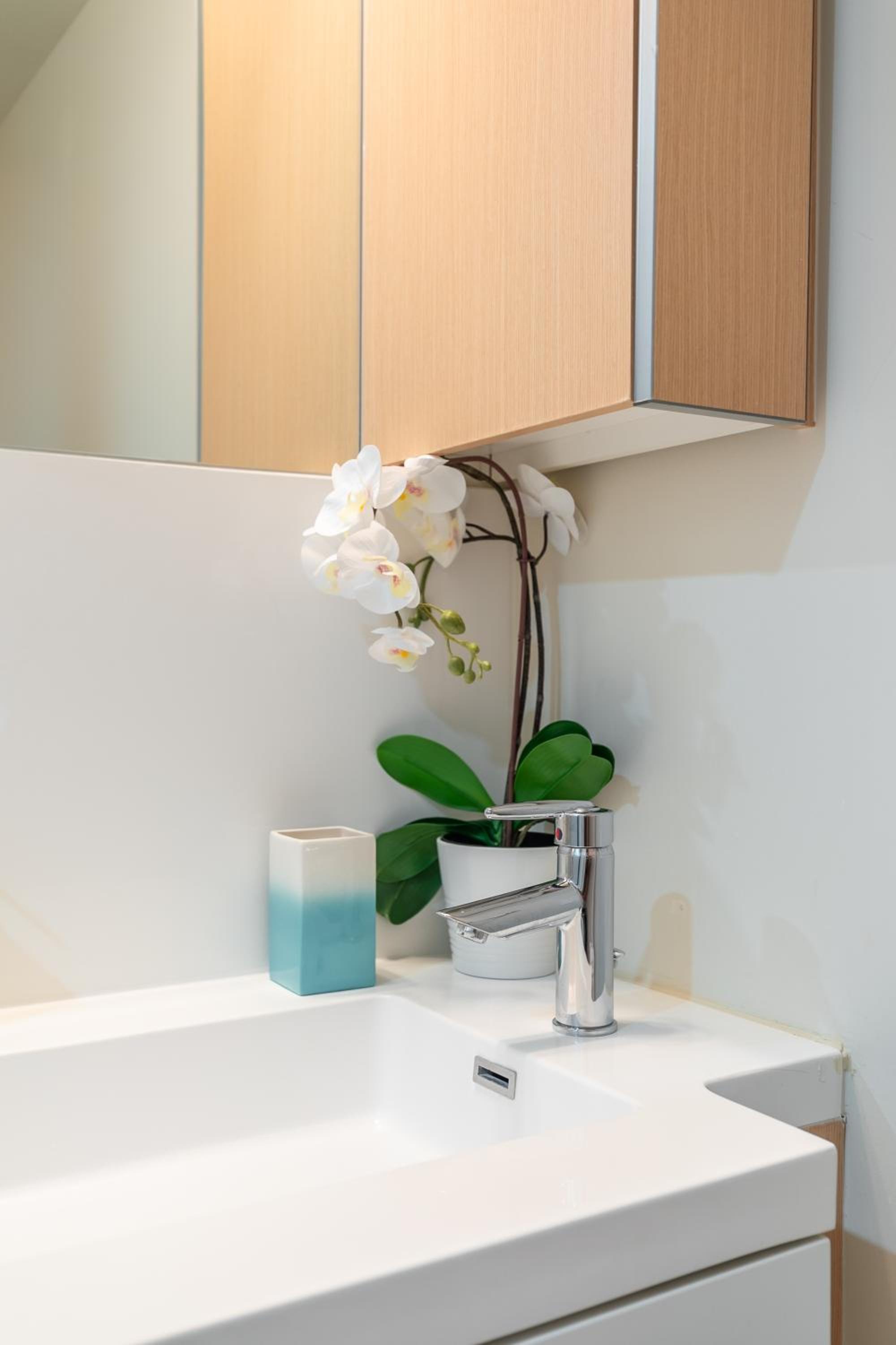 Paradise Birds 1 Bedroom in Downtown