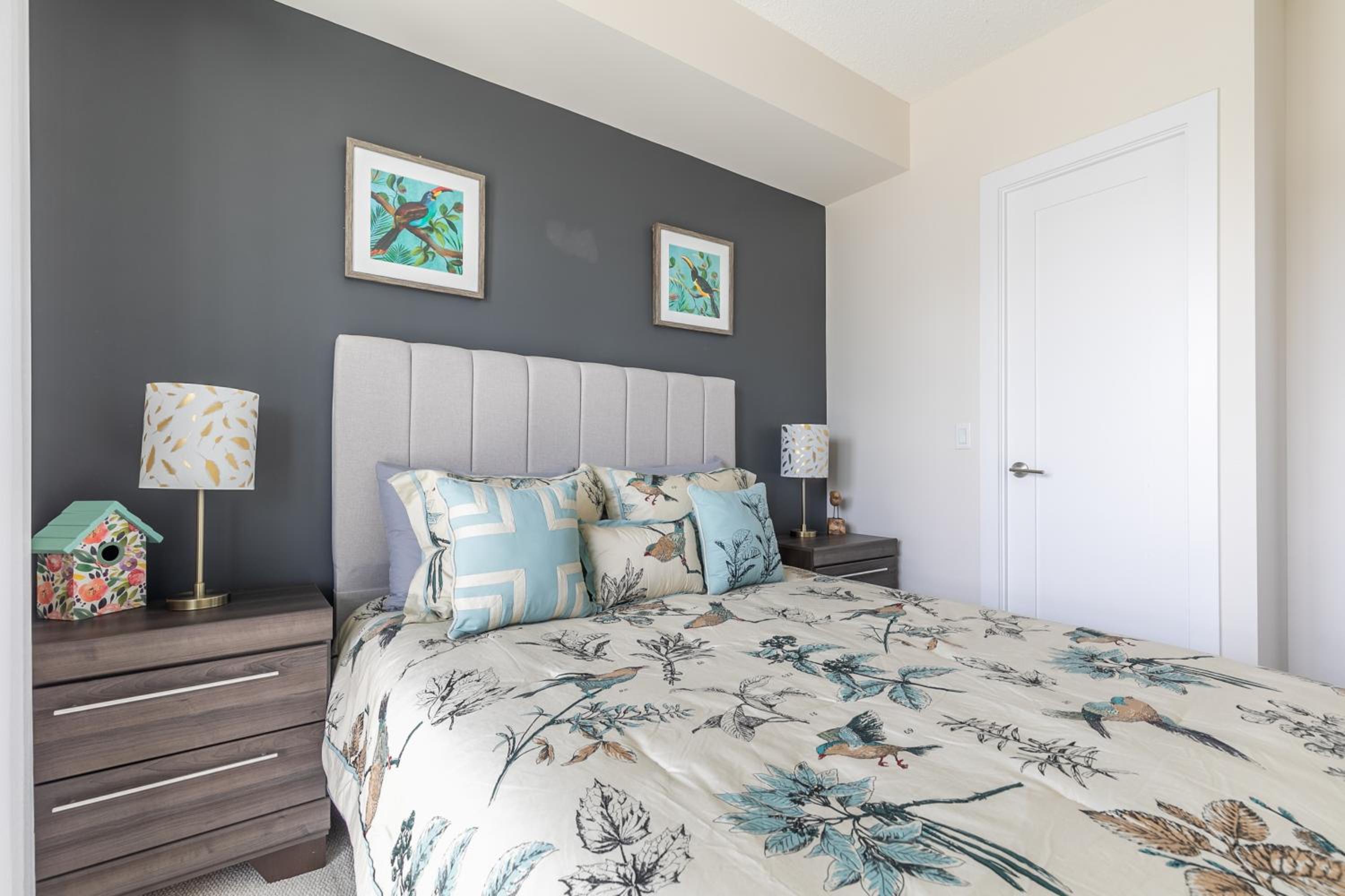 Paradise Birds 1 Bedroom in Downtown