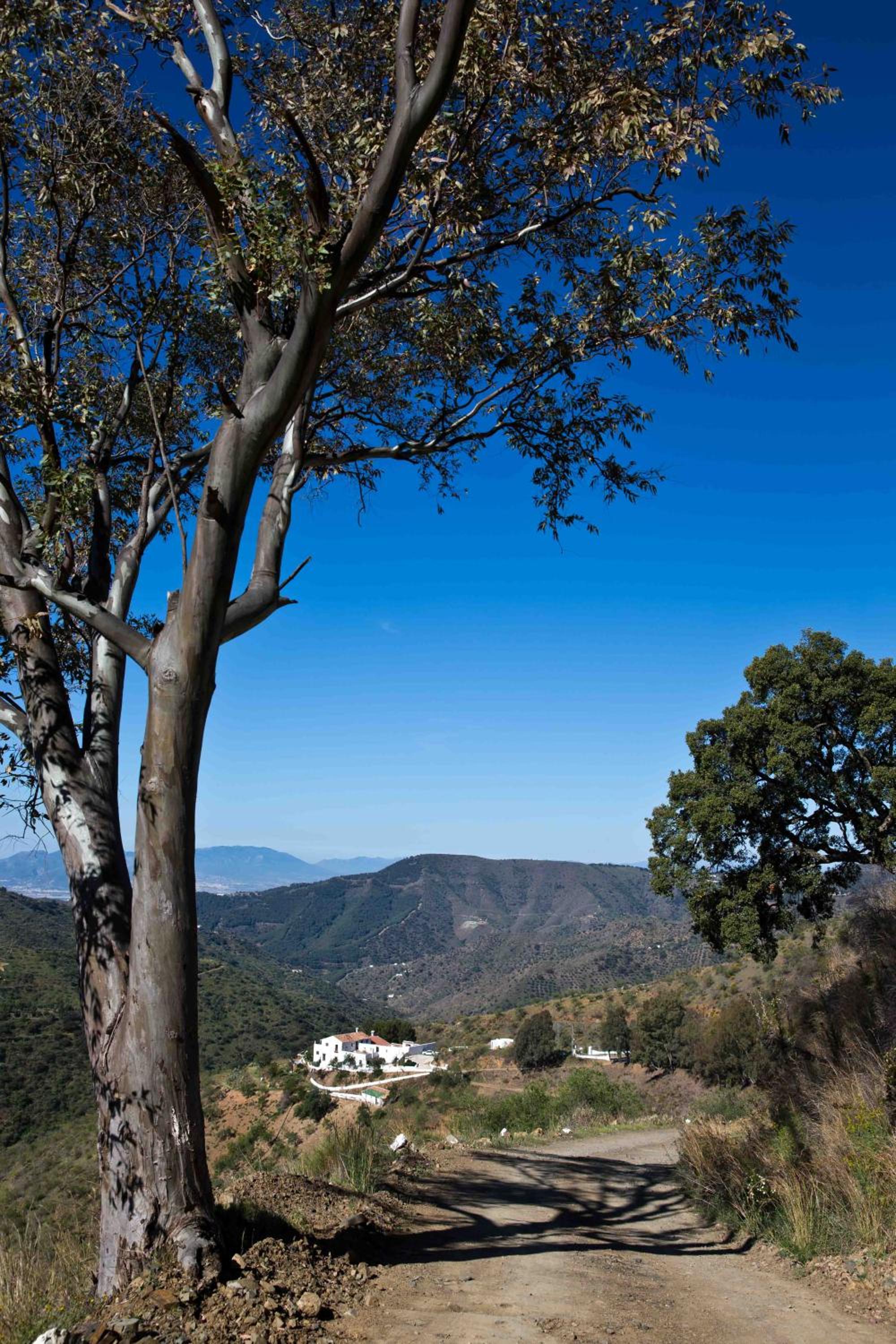 Cortijo Juan Salvador