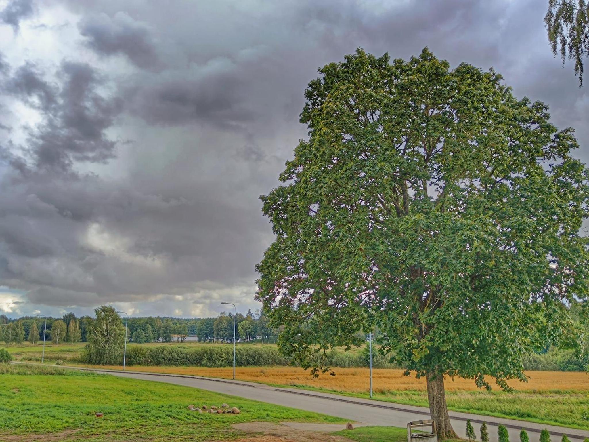 Tytų Vila
