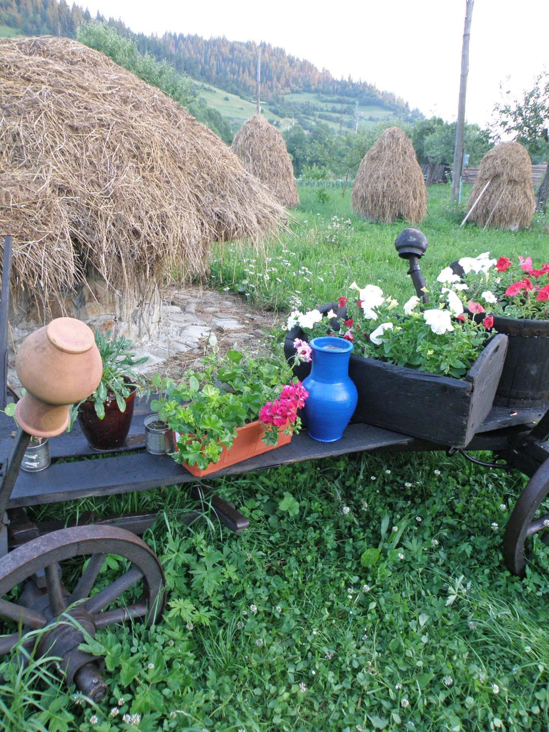 Photo 42