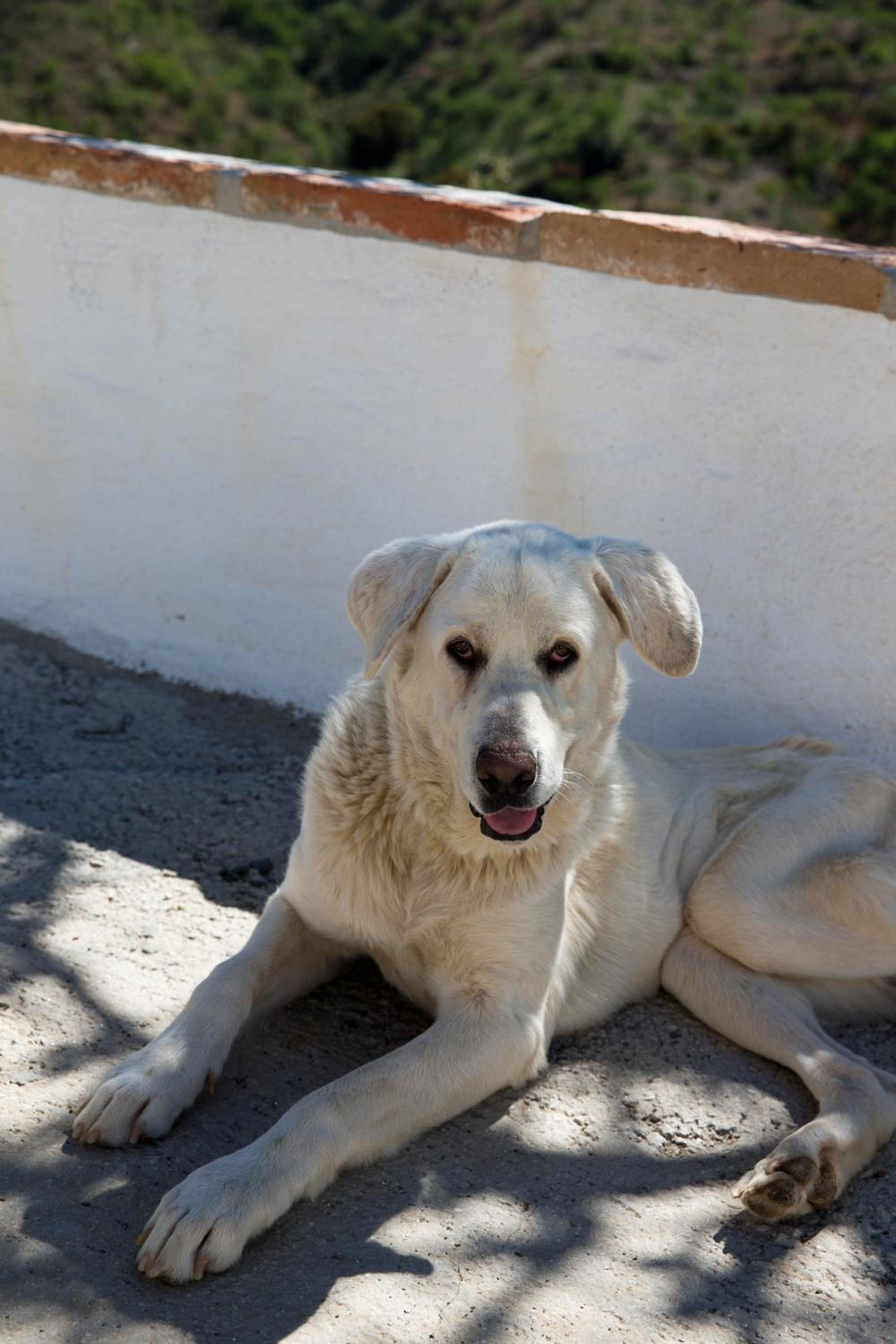 Cortijo Juan Salvador