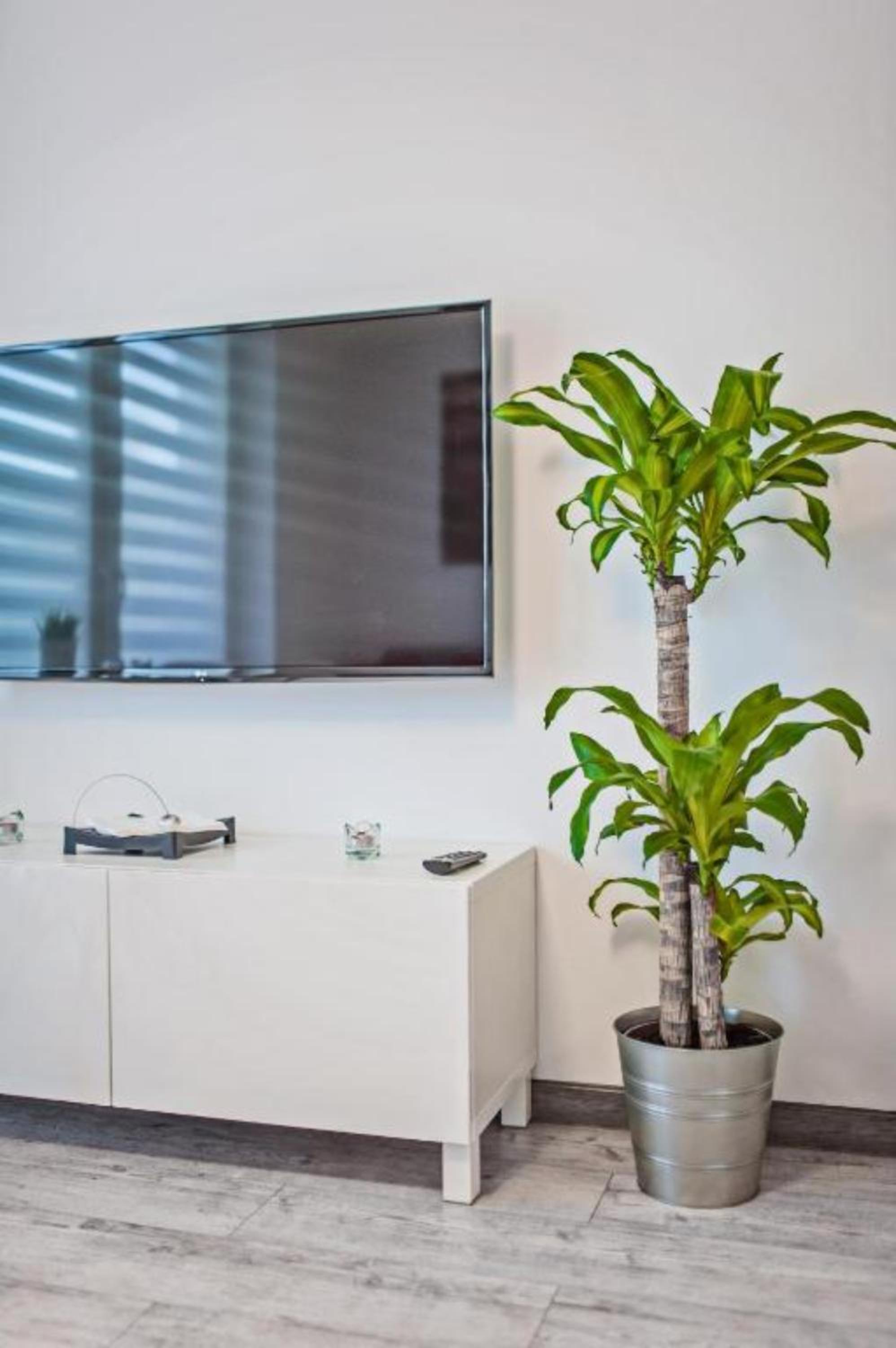 Good Time Apartments Centrum Strzelecka