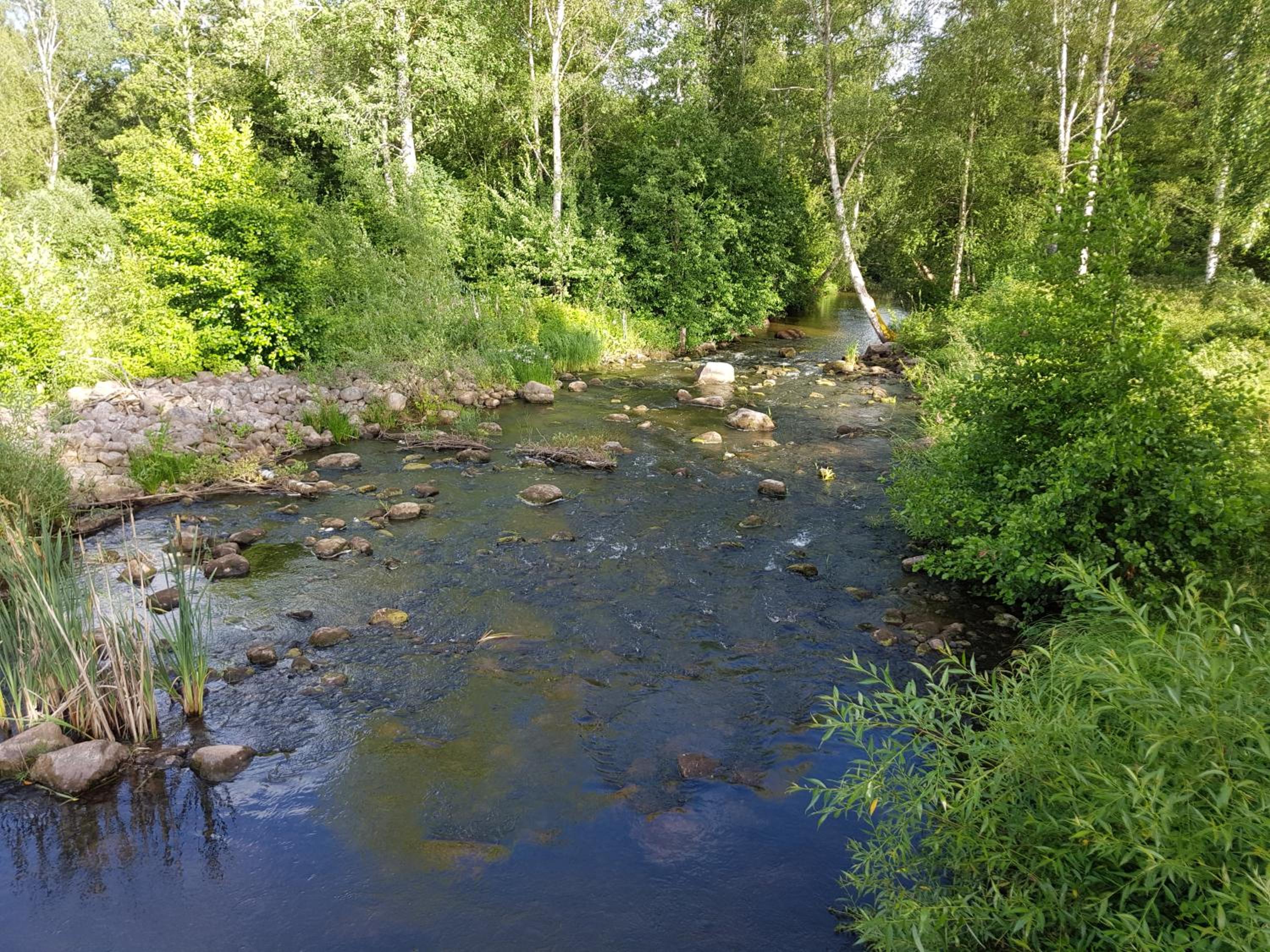 Photo 27