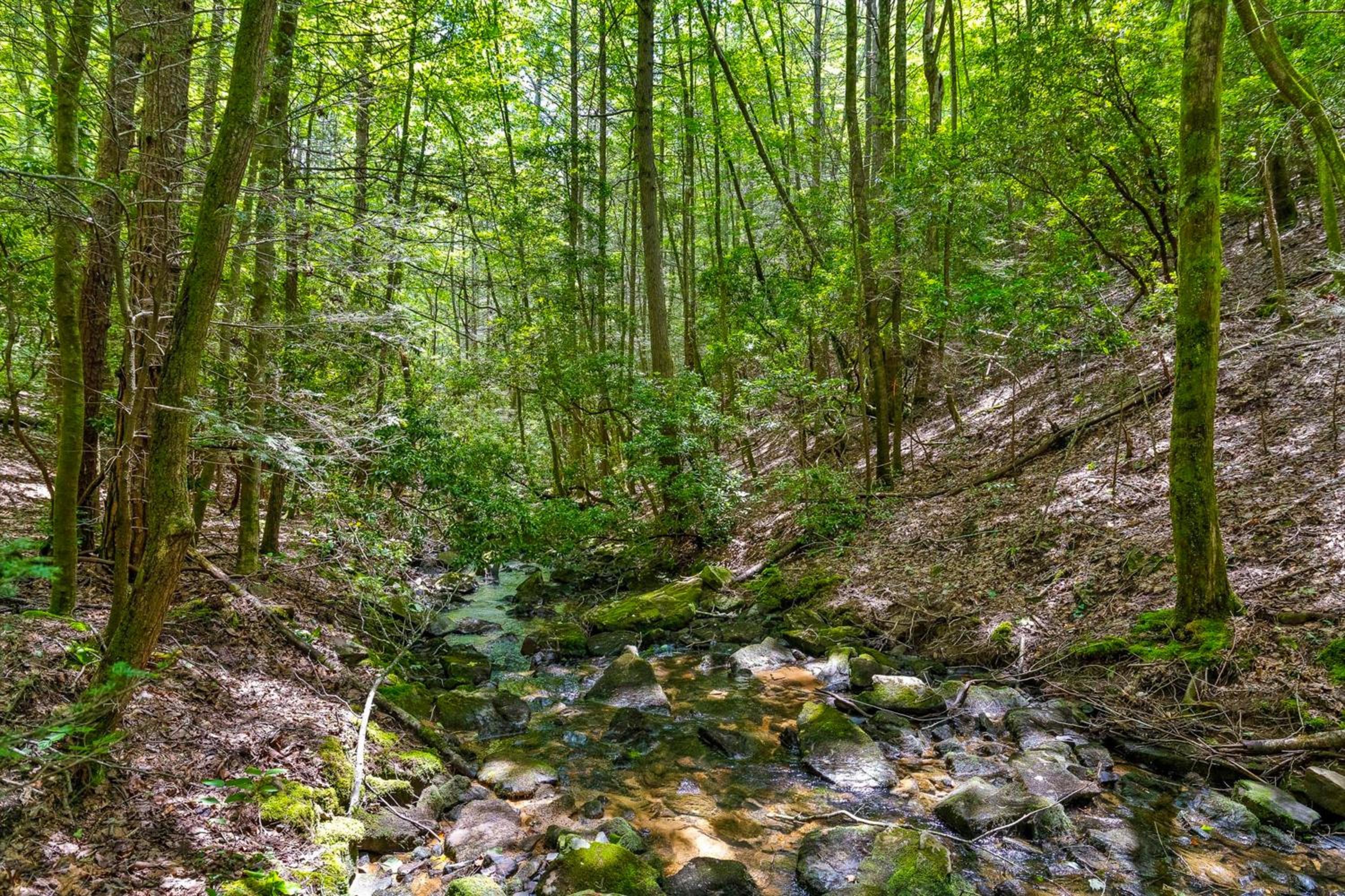 Georgia Mtn Retreat! Cabin Near Cloudland Canyon