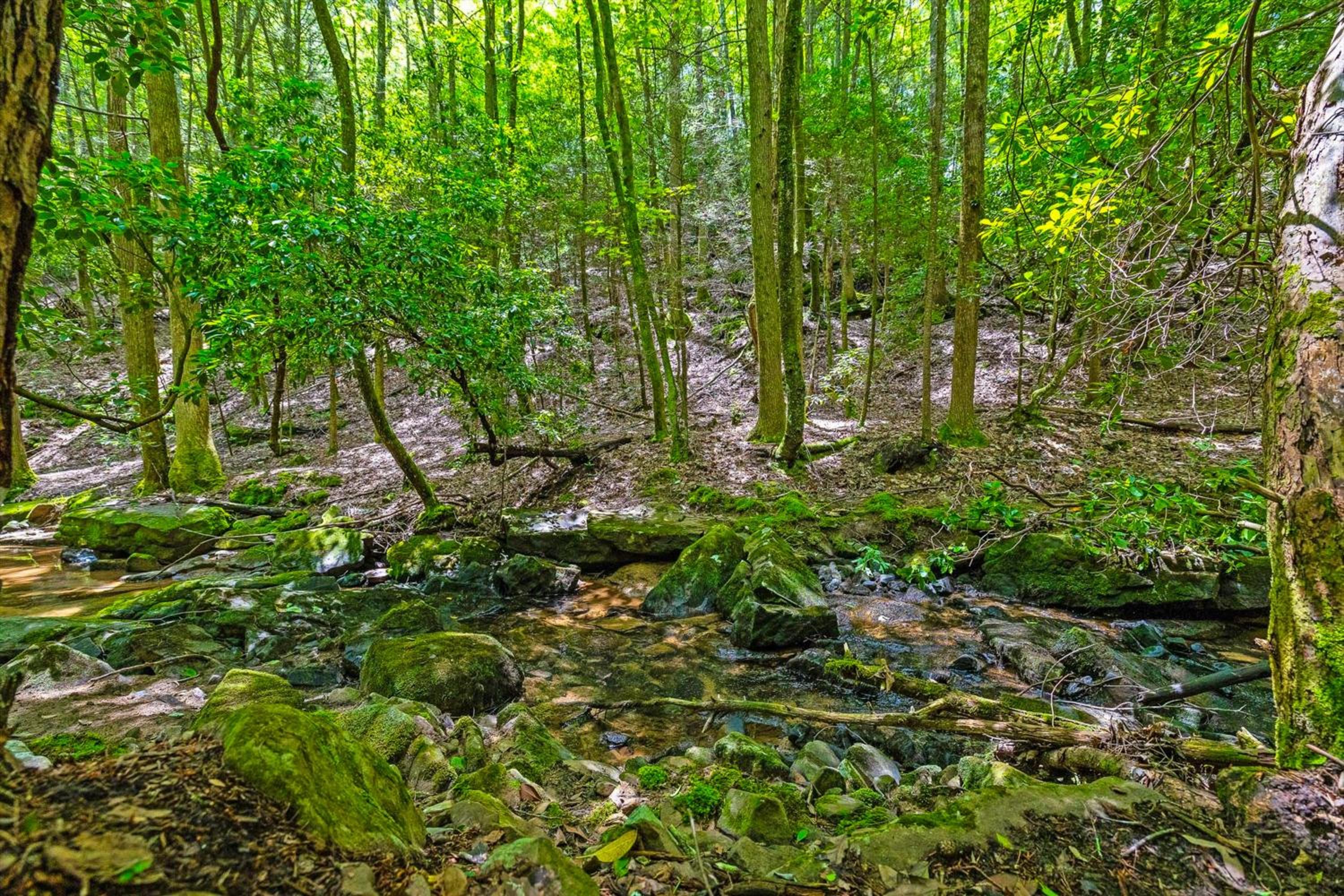 Georgia Mtn Retreat! Cabin Near Cloudland Canyon