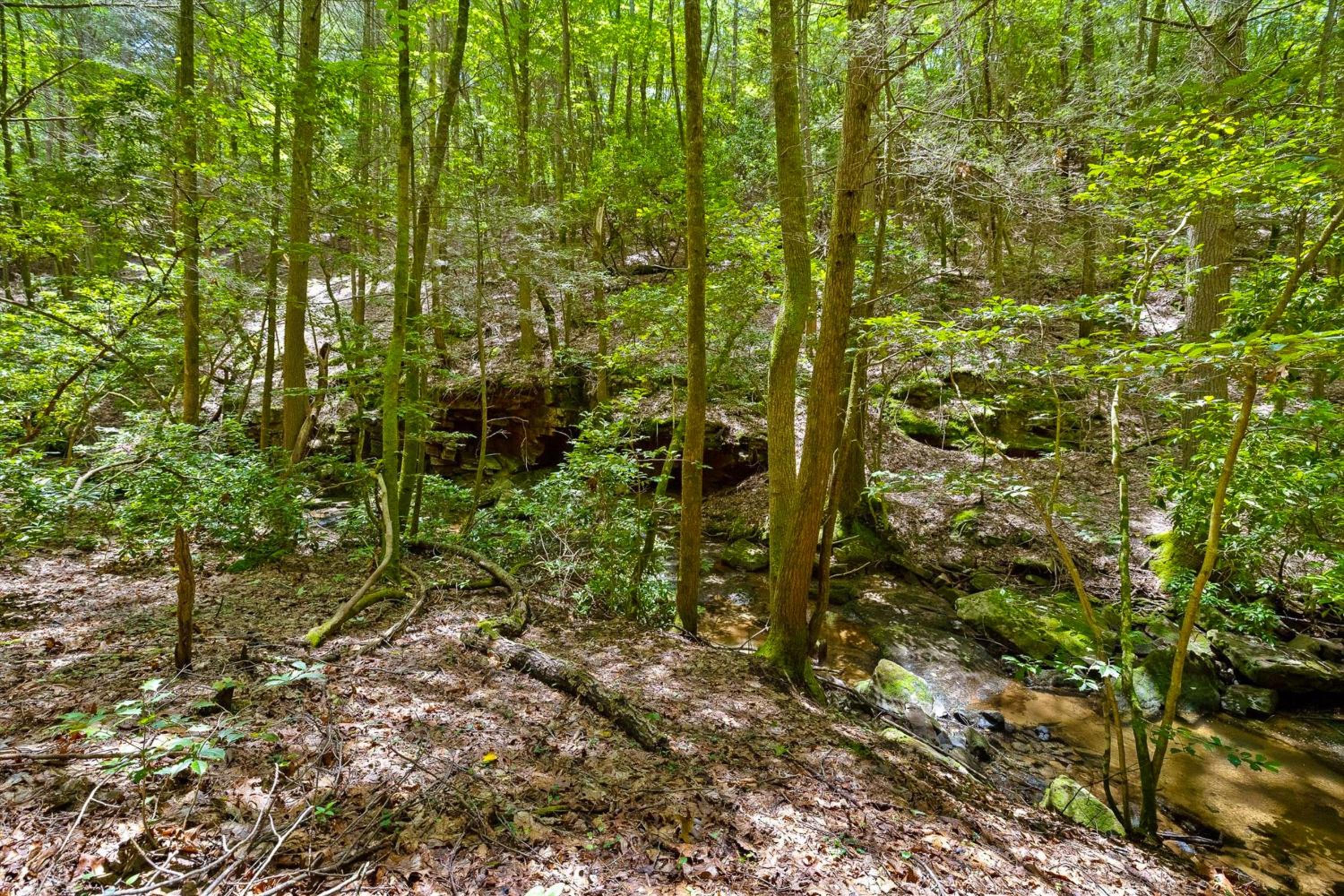 Georgia Mtn Retreat! Cabin Near Cloudland Canyon
