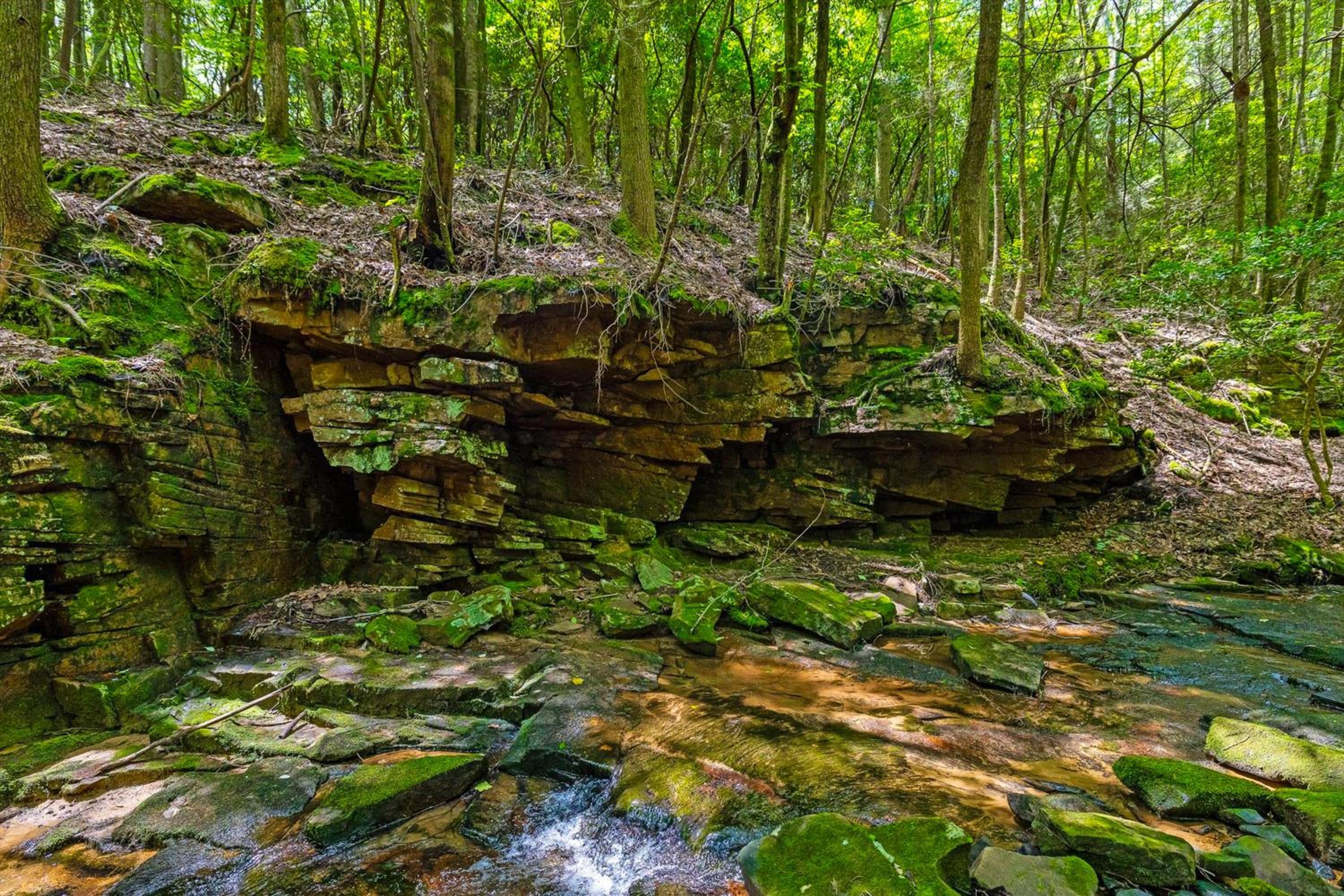 Georgia Mtn Retreat! Cabin Near Cloudland Canyon