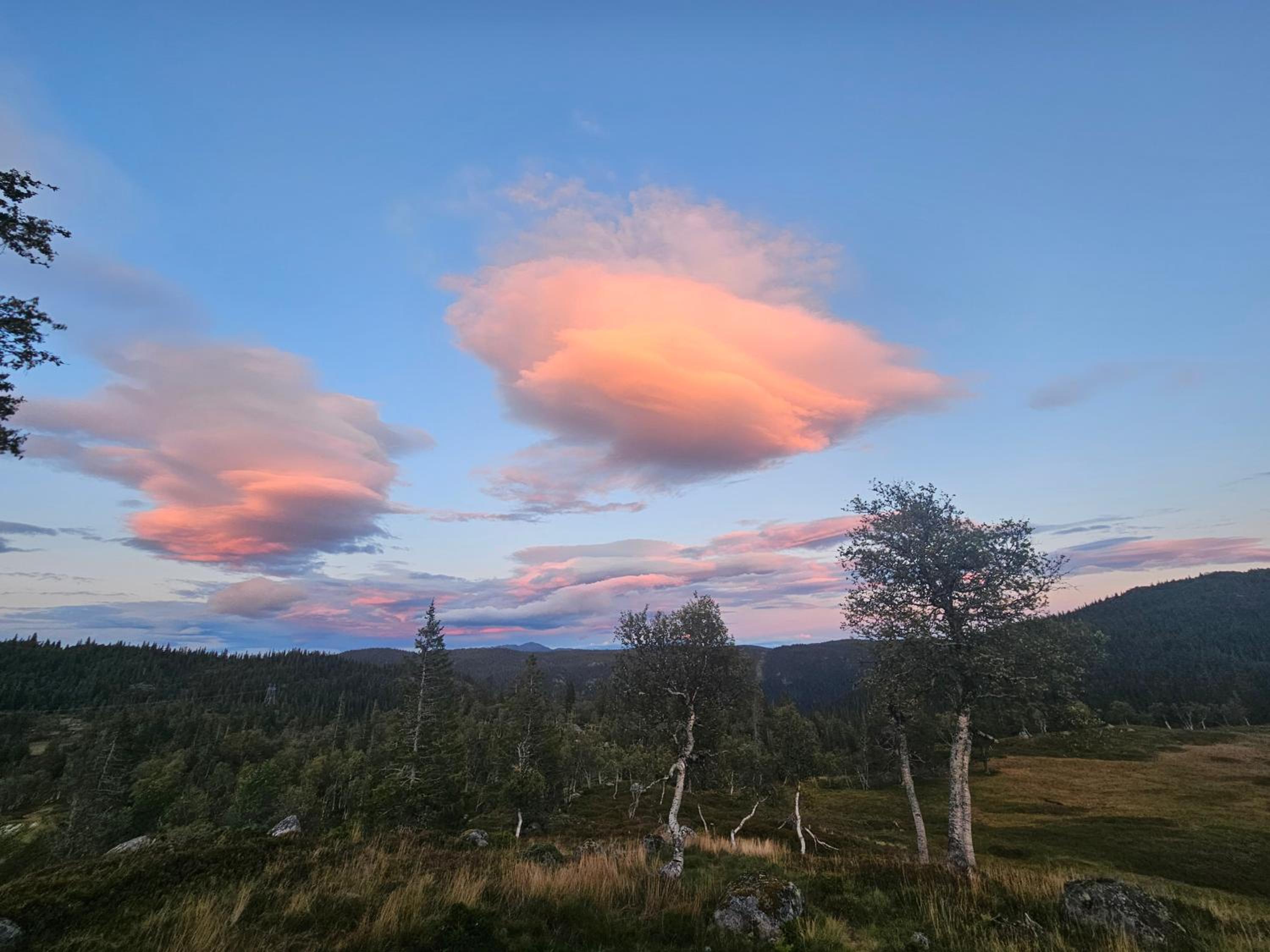 Authentic Secluded Mountain Cabin in Telemark with Panoramic Views