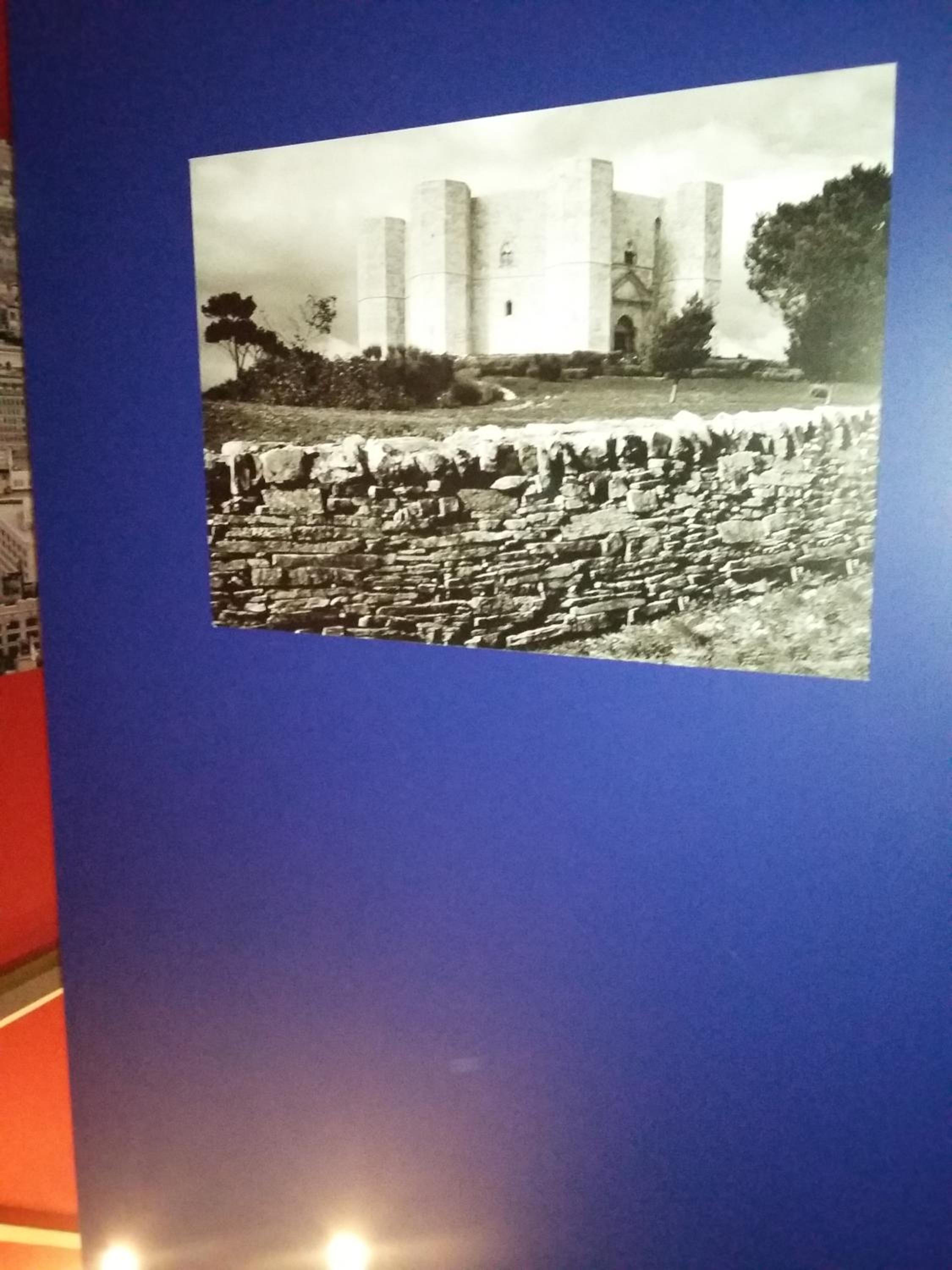 Arté Andria, photo 16