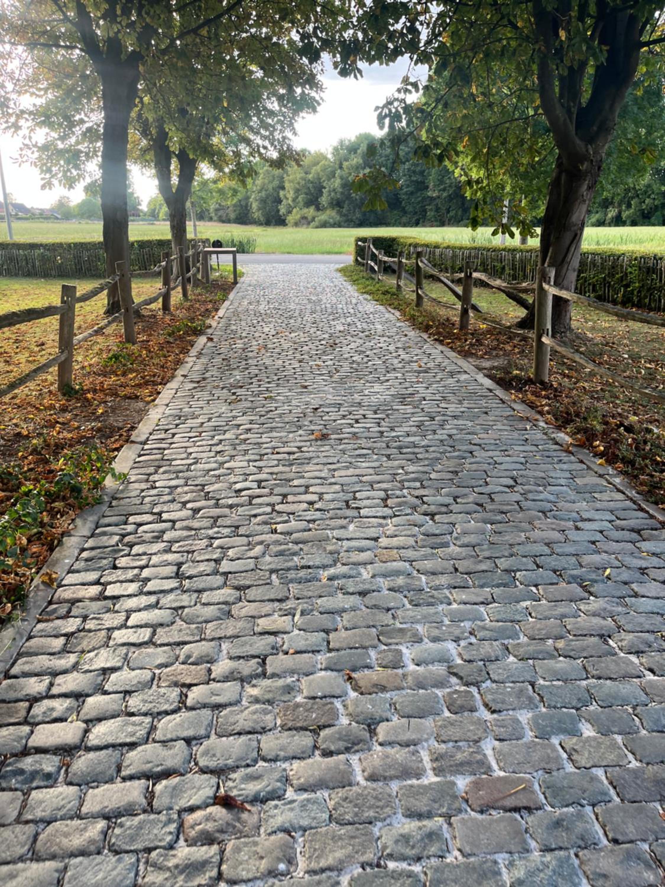 Broekemmolen - Nature getaway & green spot