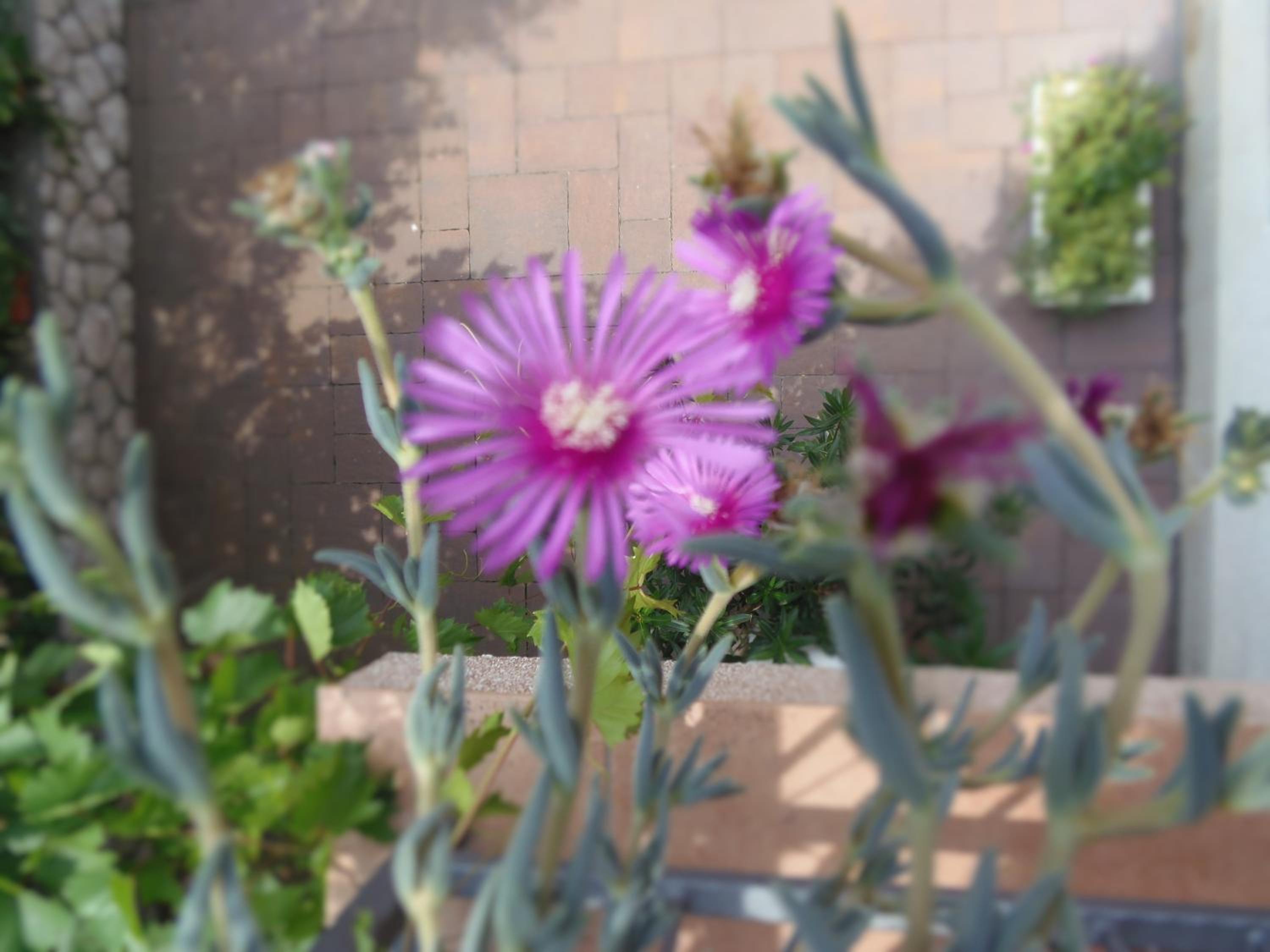 Photo 35