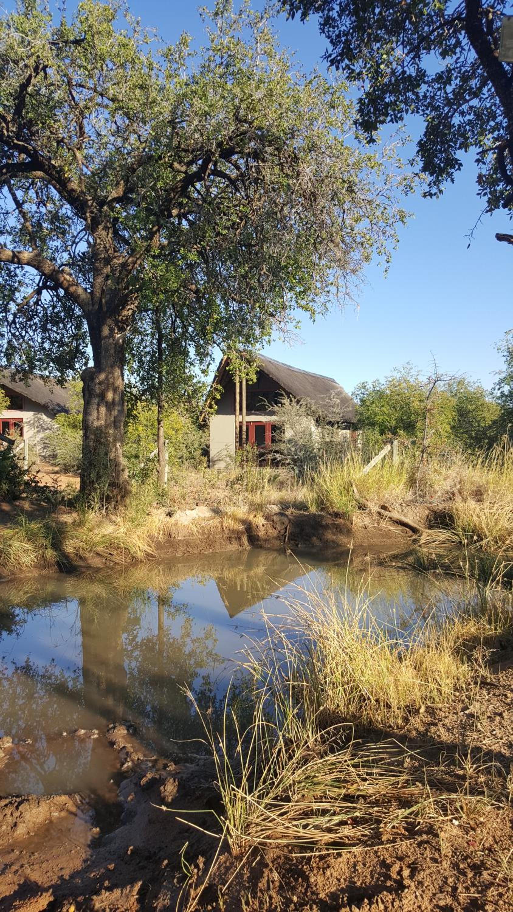 Pilanesberg Private Lodge