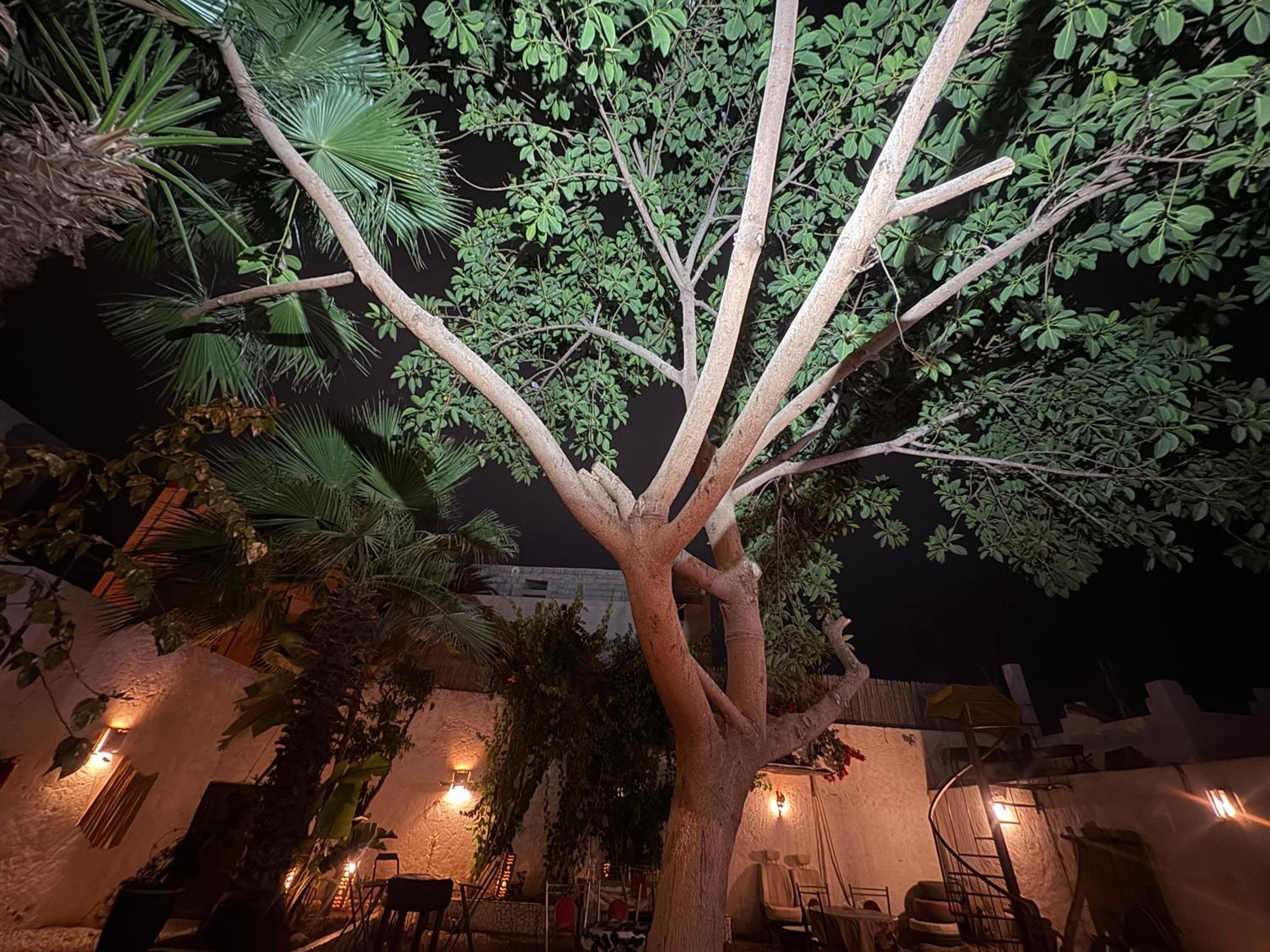 ASARAG GUEST HOUSE, YOGA & Surf