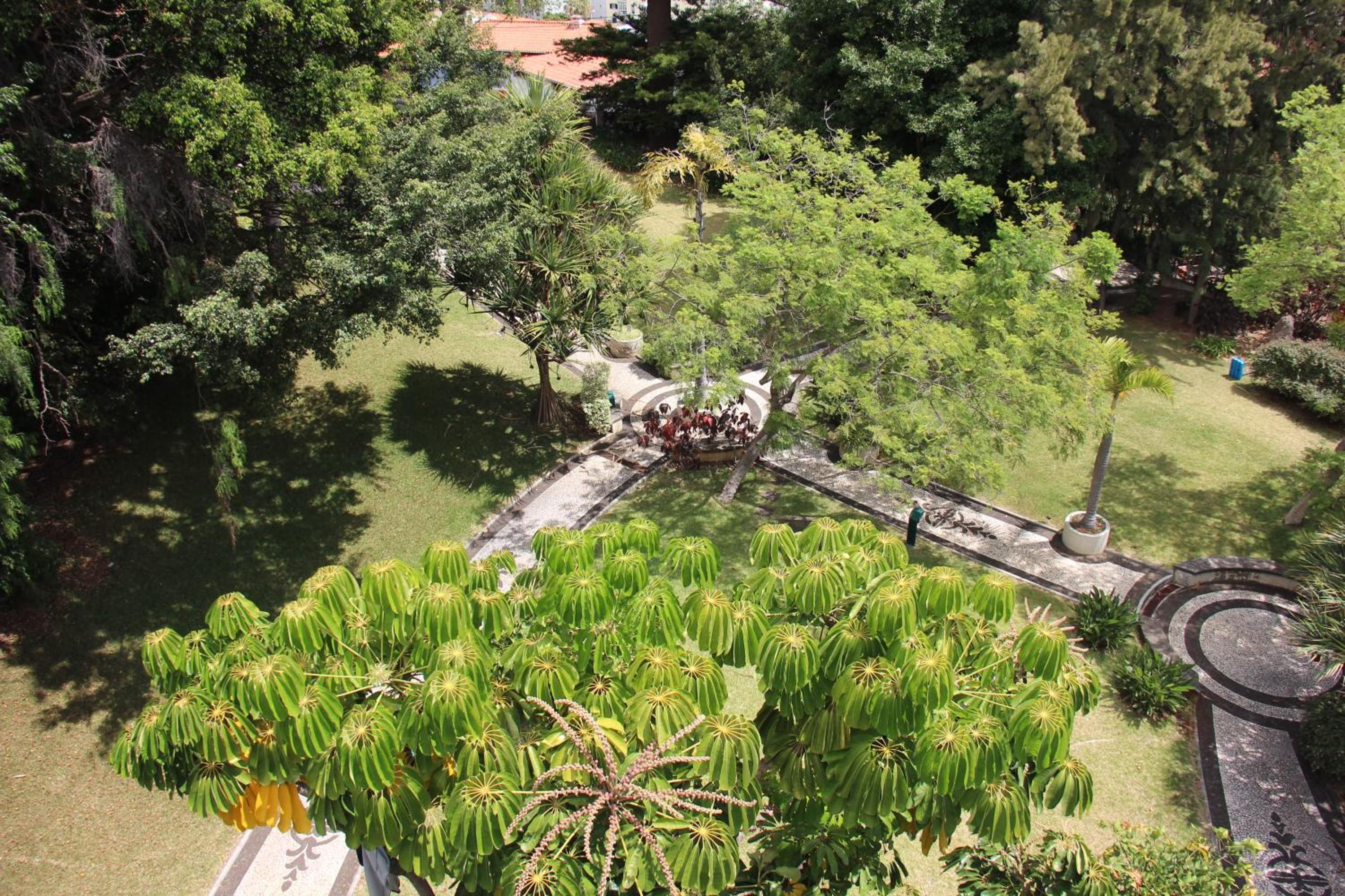 A Casa da Dúlia