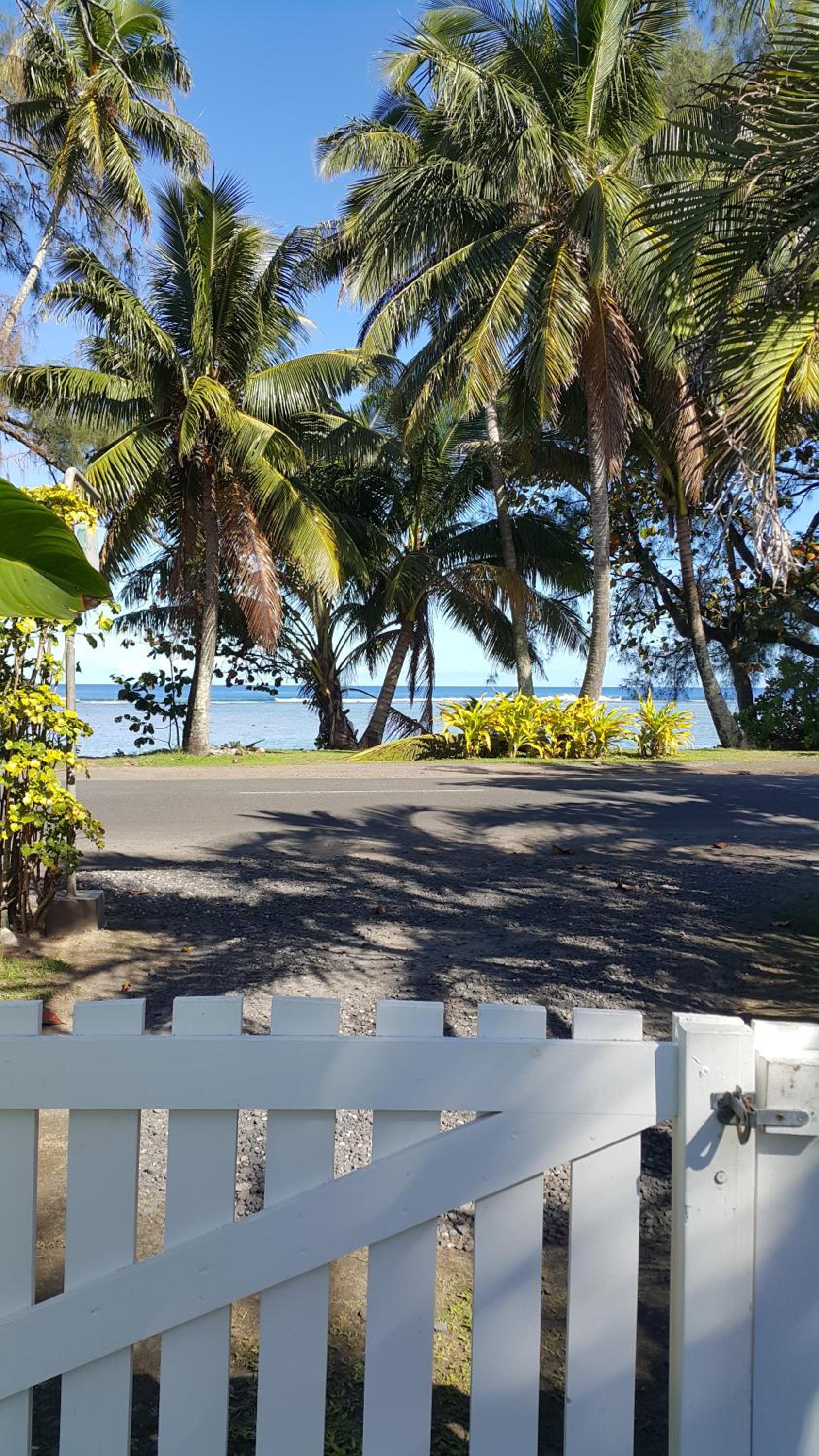 The Black Pearl Beachside Apartments