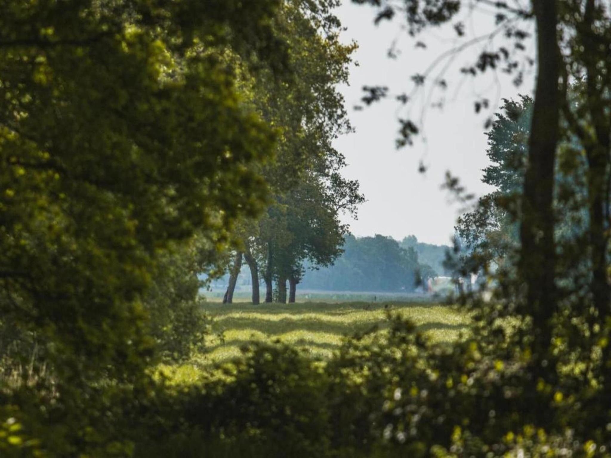 Chalet in Friesland with terrace