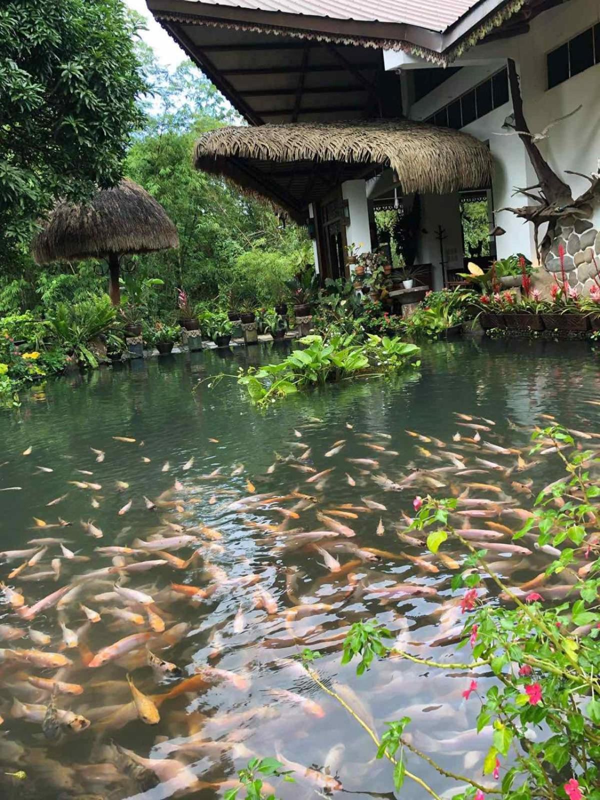 Harmonia Nature Resort by Hiverooms