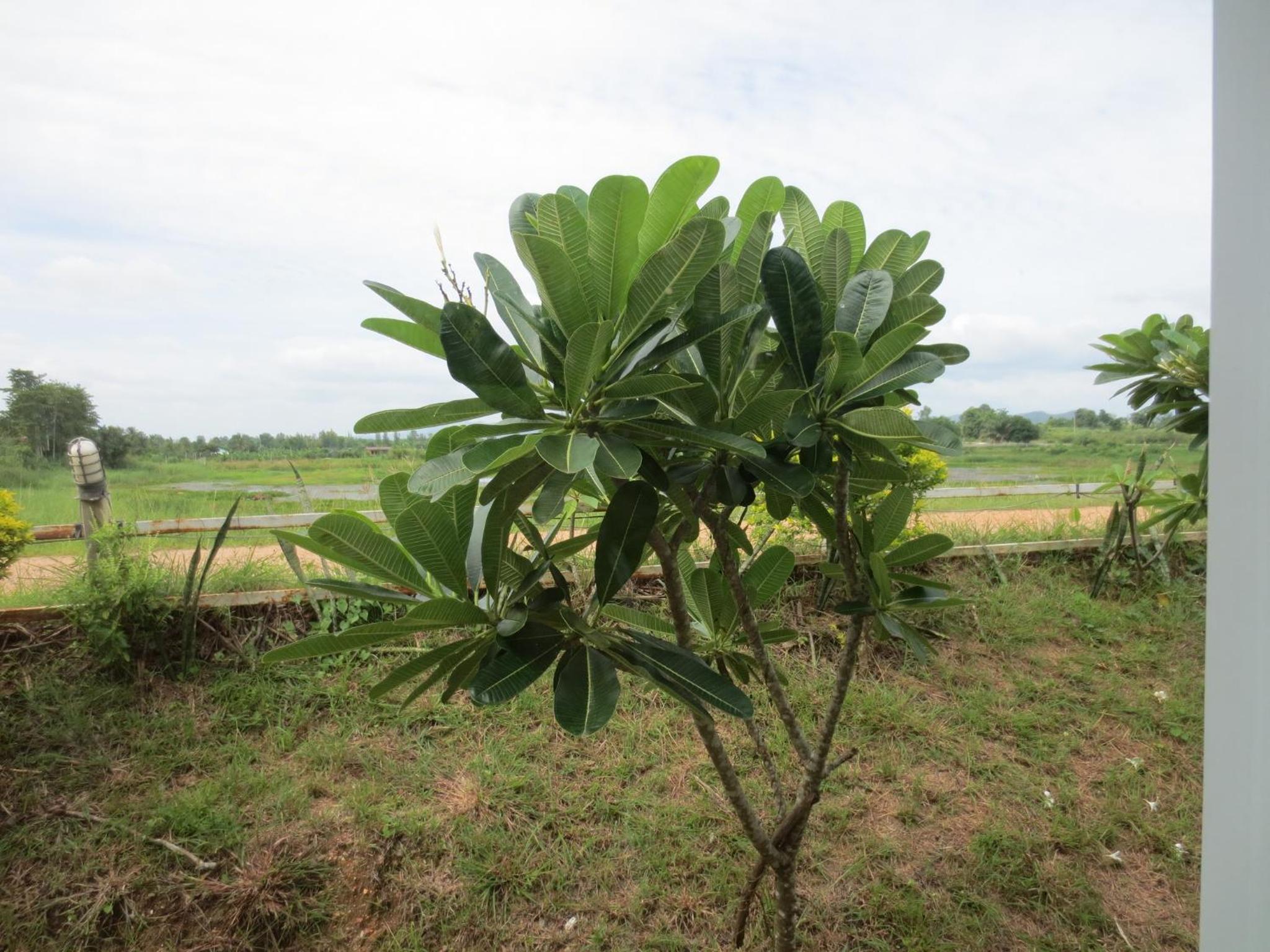Ban Tonnam Resort