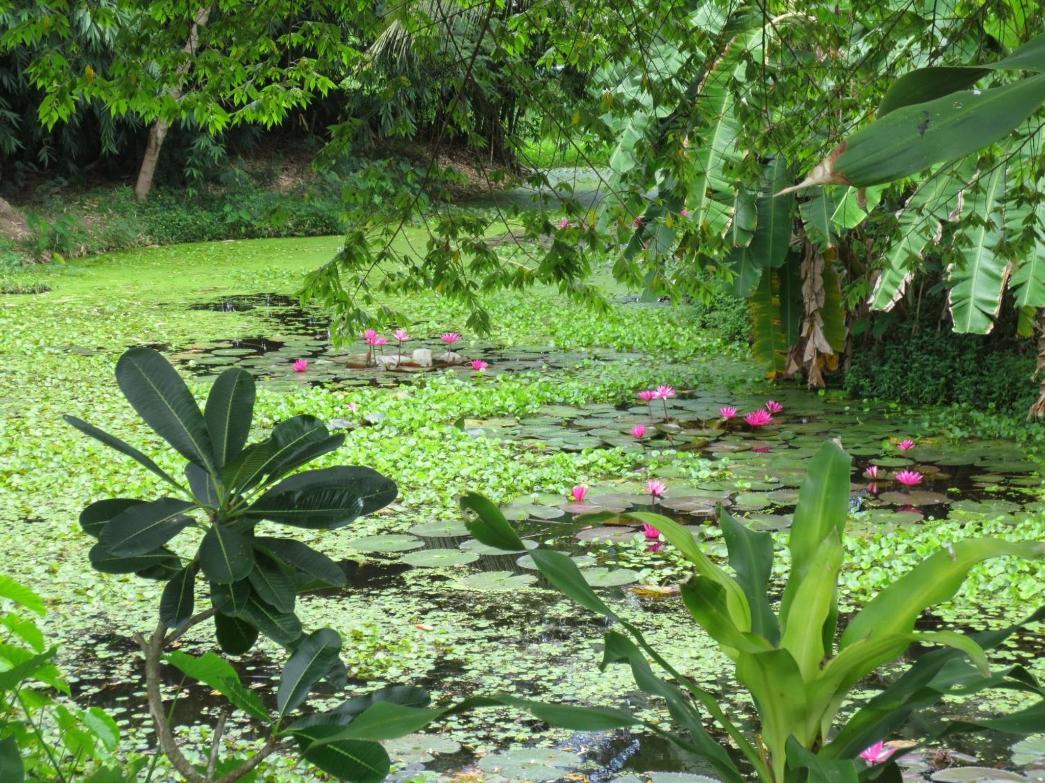 Ban Tonnam Resort