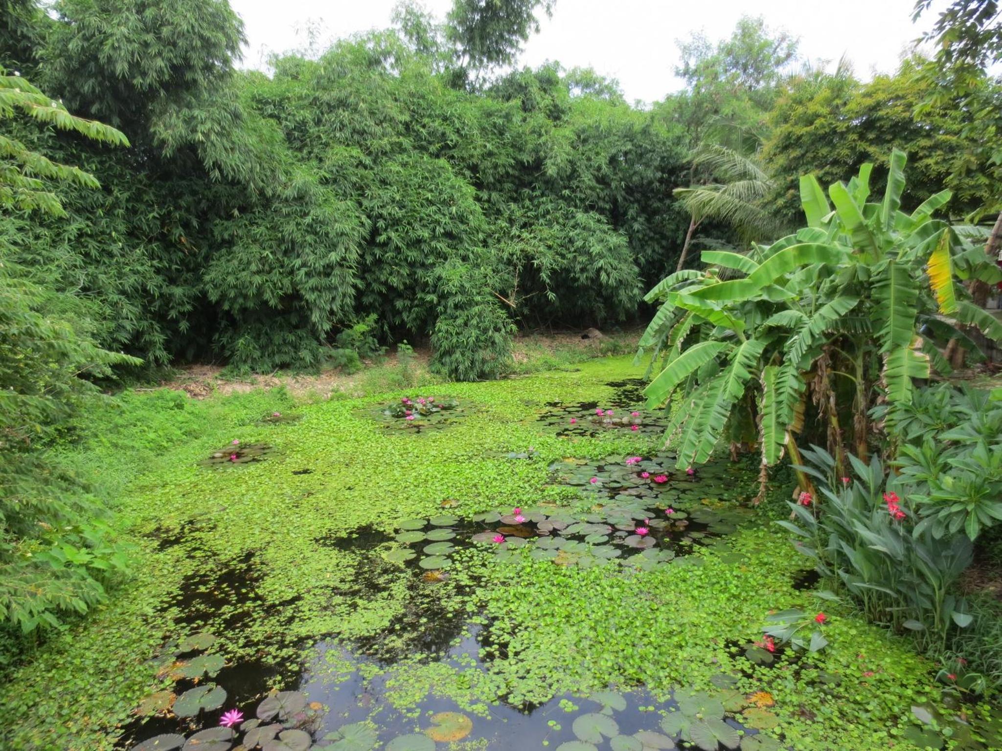 Ban Tonnam Resort