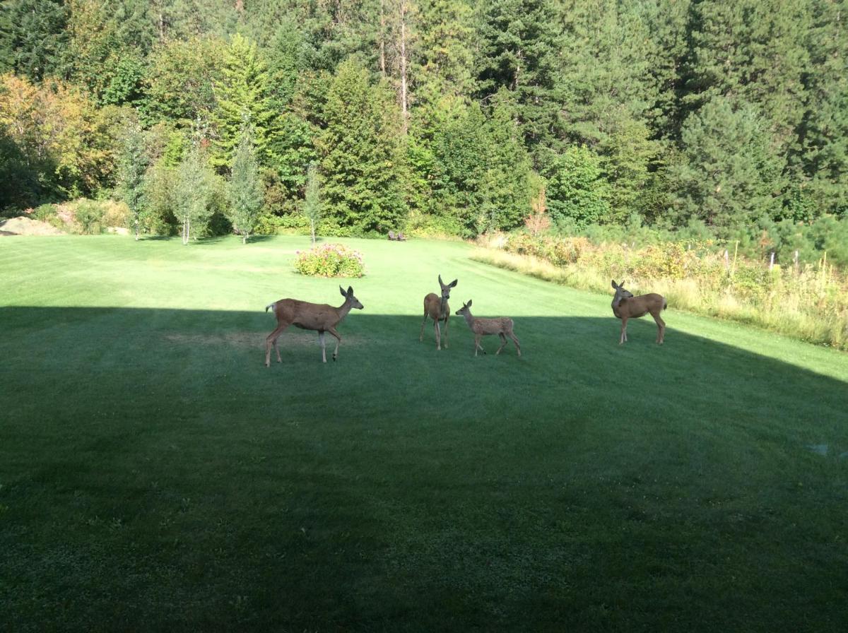 Granite Hills Inn