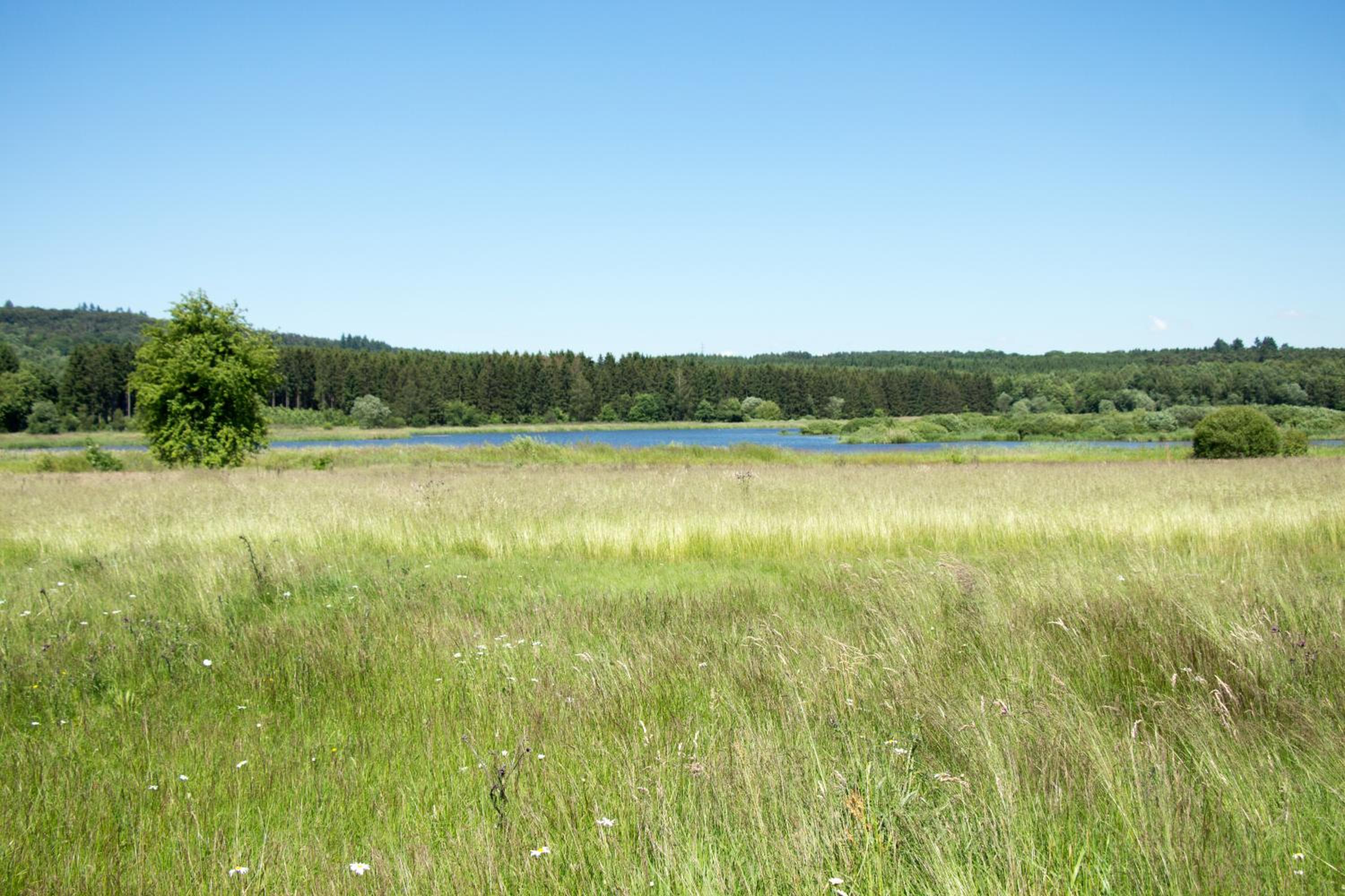 Campingplatz Jungferweiher view 3