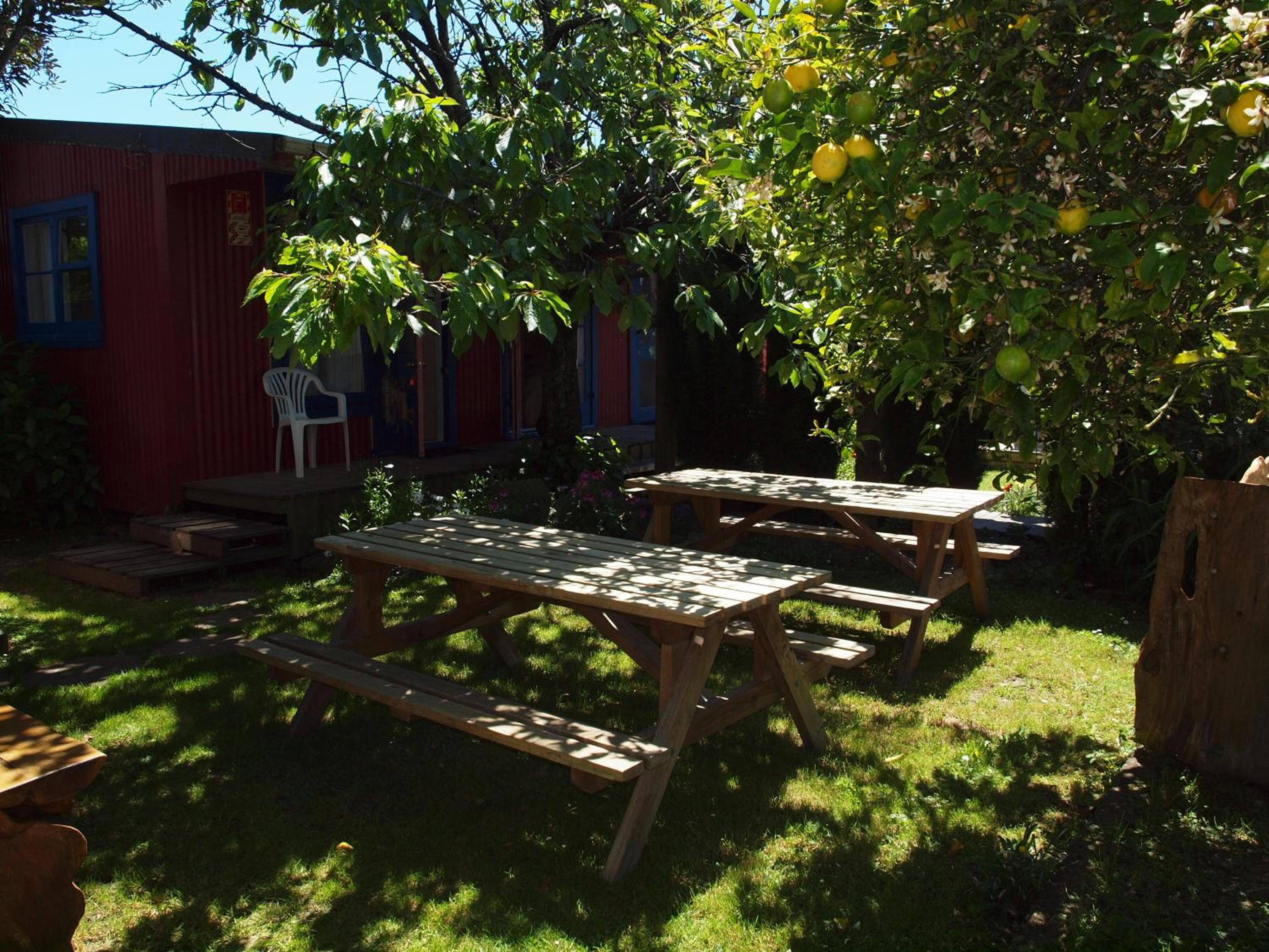 Photo 31