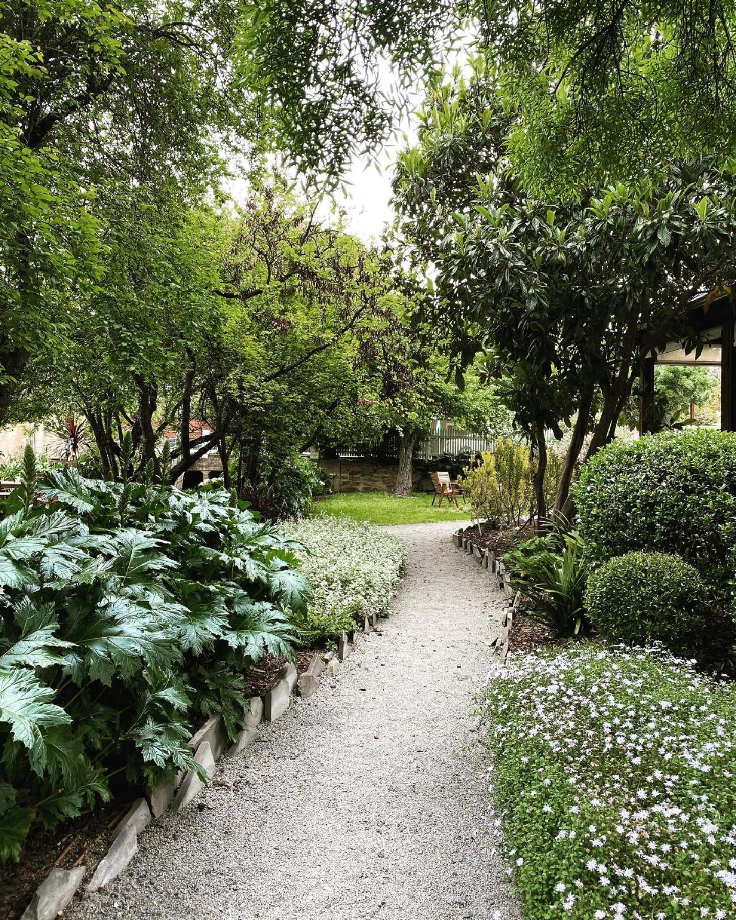 Wild Olive Cottage Clare Valley