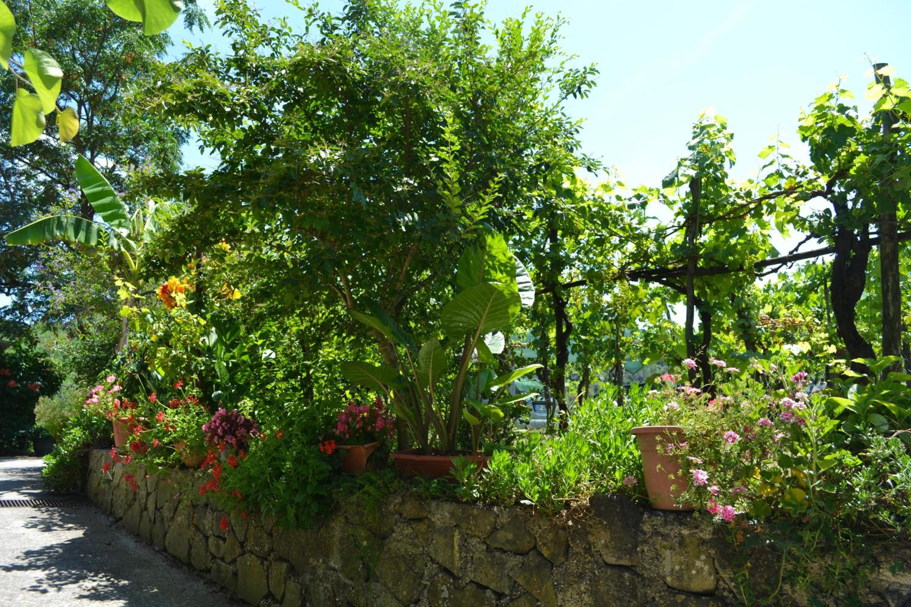 Benvenuti Nel Sud