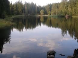 Photo 53