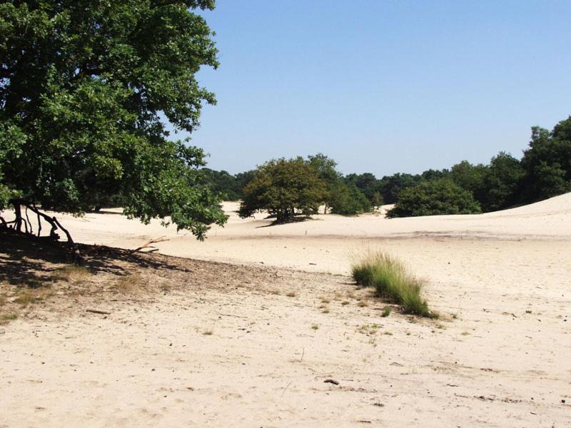 De Distelhoeve