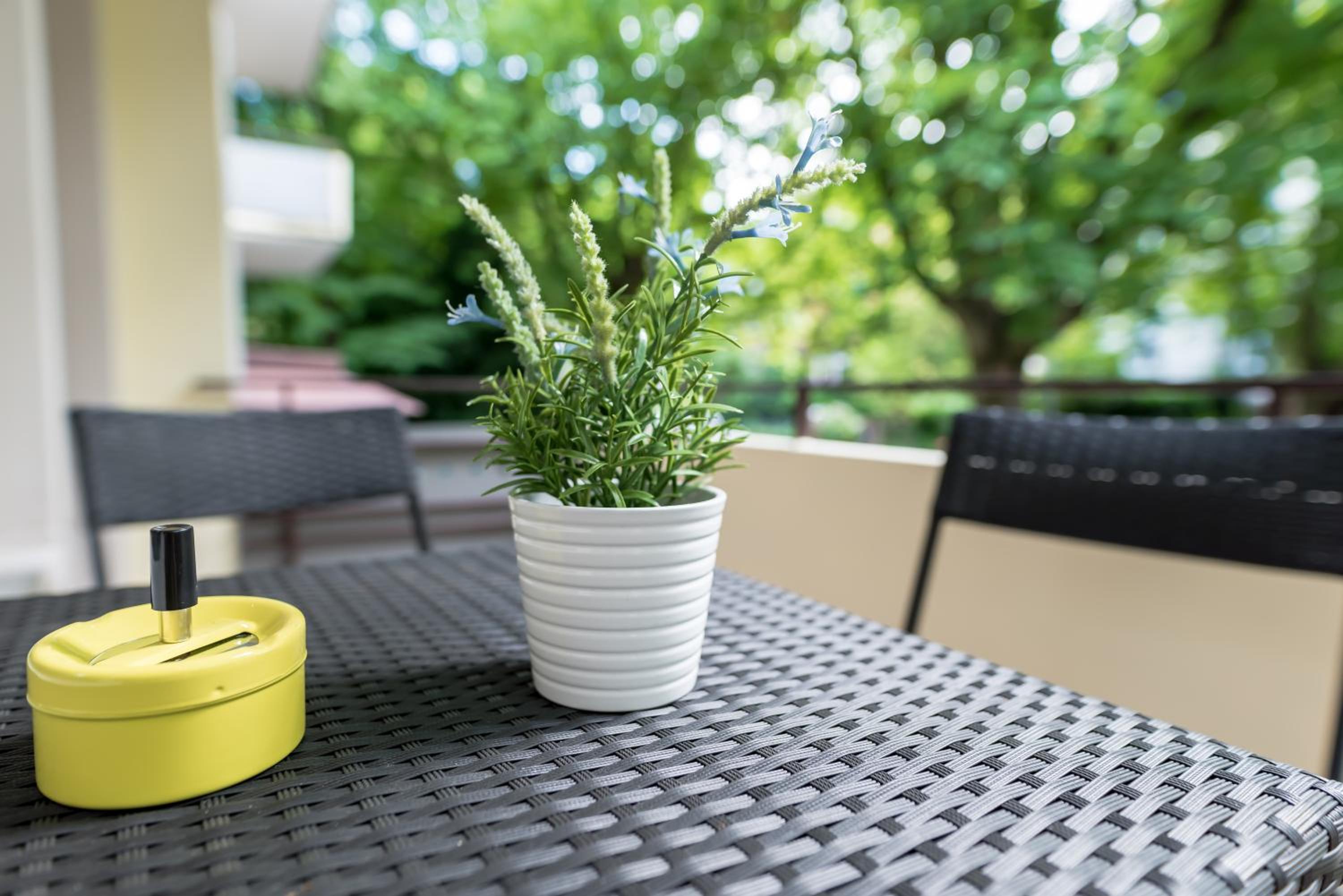 Boutique Apartments am Stadtgarten