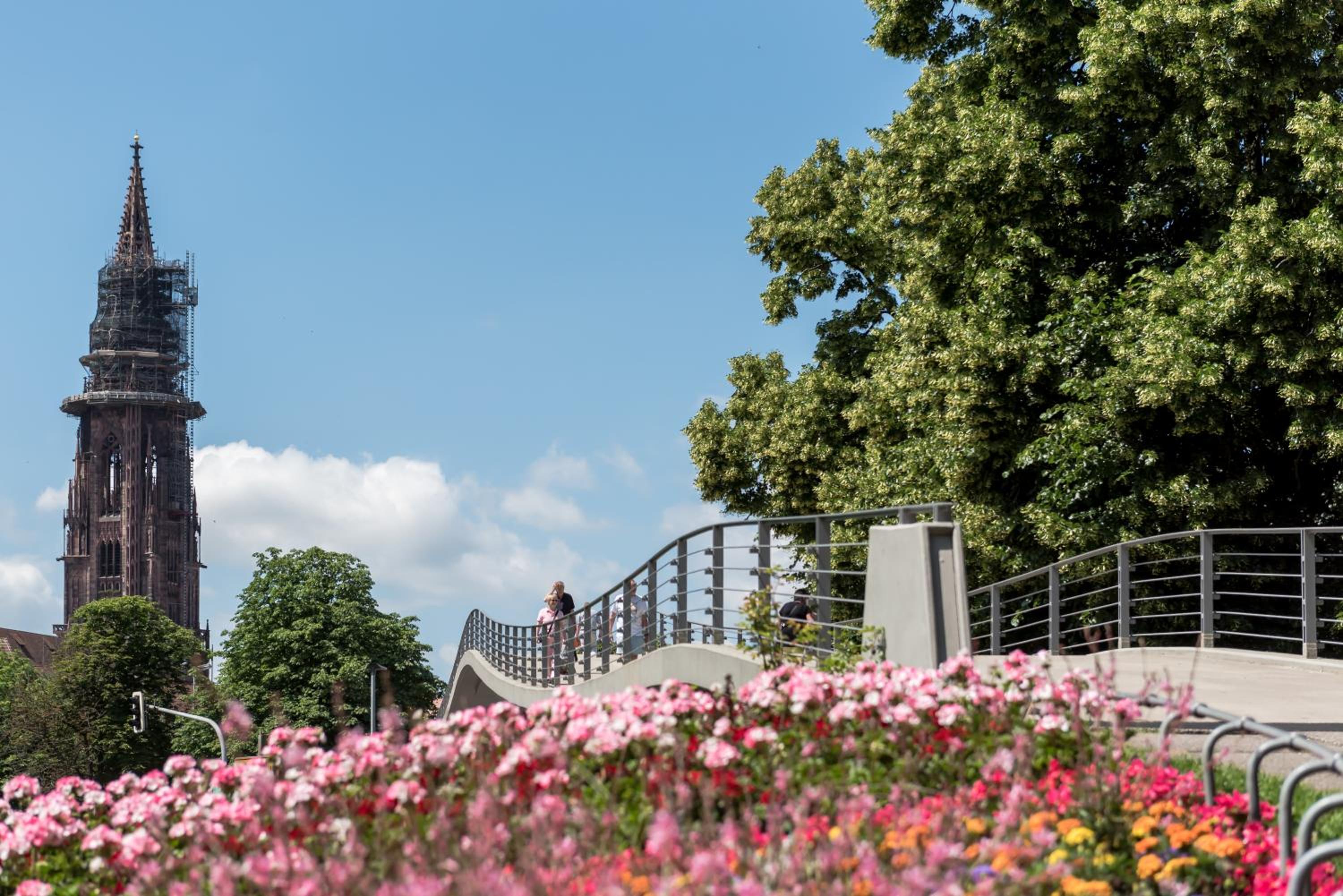 Boutique Apartments am Stadtgarten