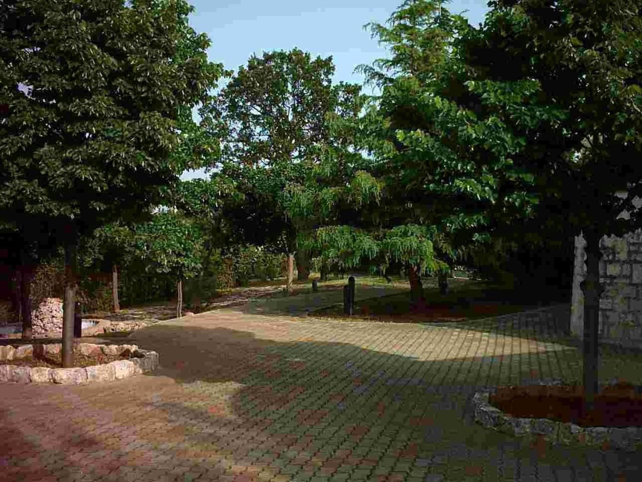 Photo 12
