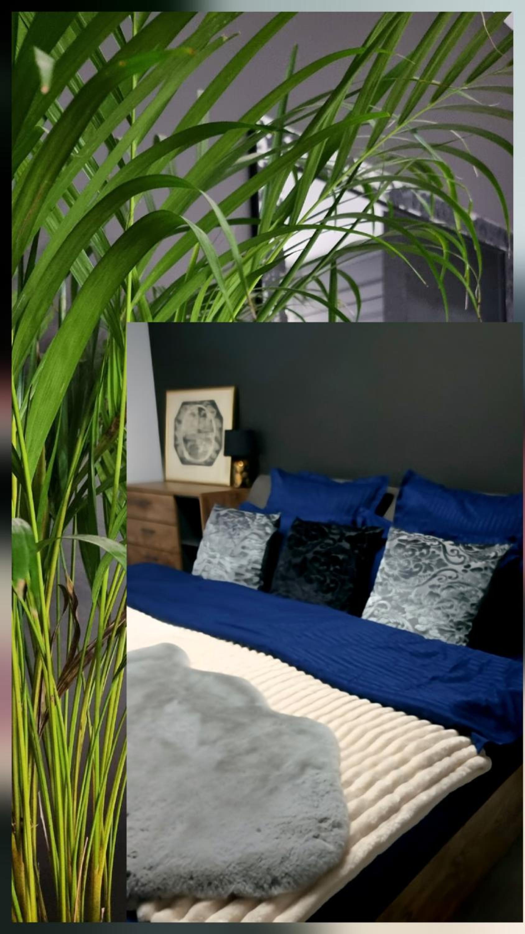 GLAMOUR Style 2 Bedrooms