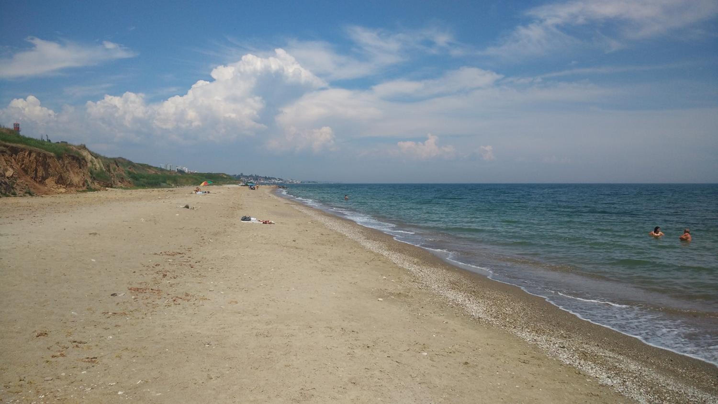 Photo 41