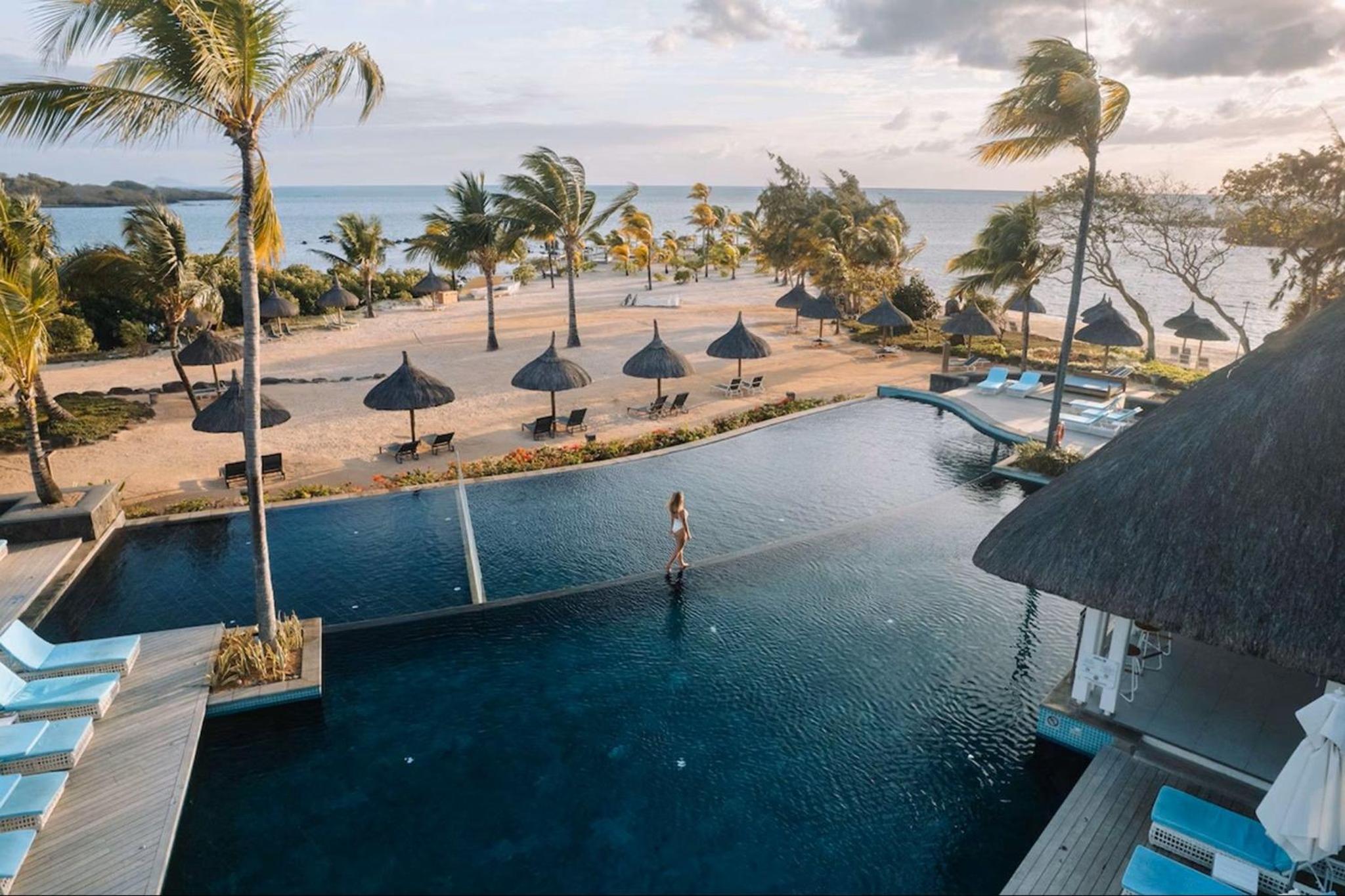 Azuri Soliflore 13 photo 5