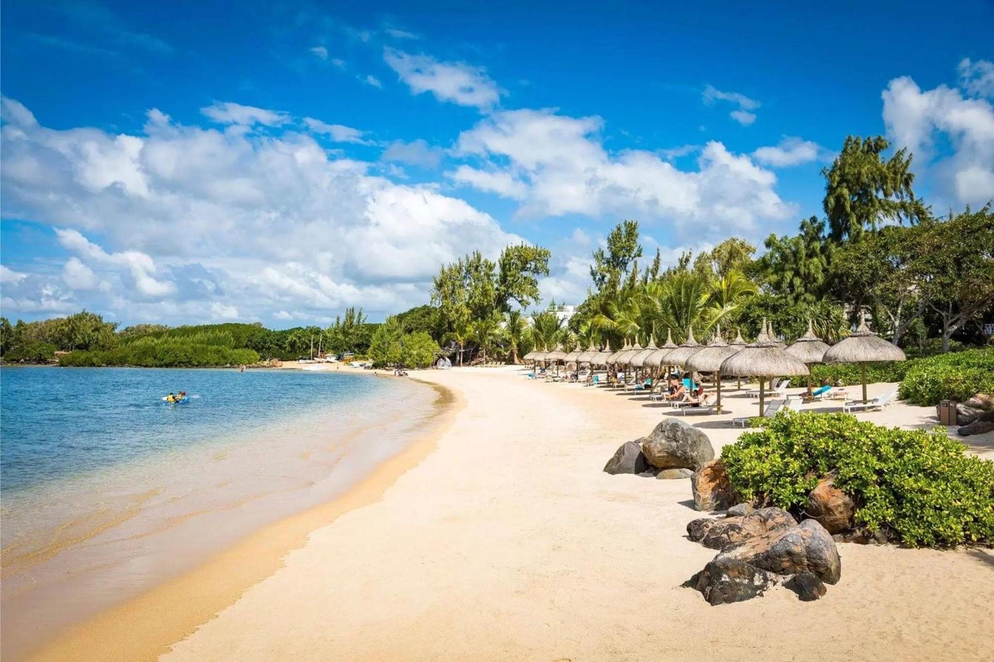 Azuri Soliflore 13 photo 4