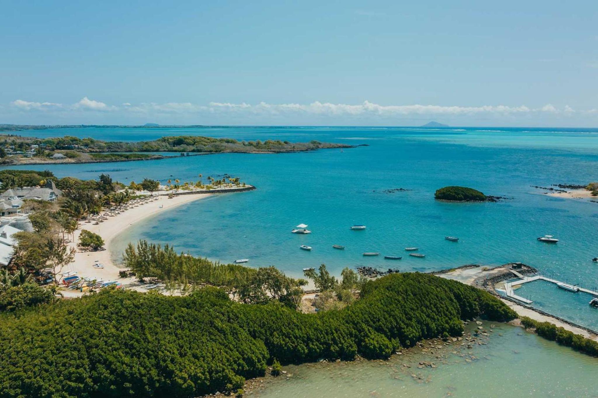 Azuri Soliflore 13 photo 2