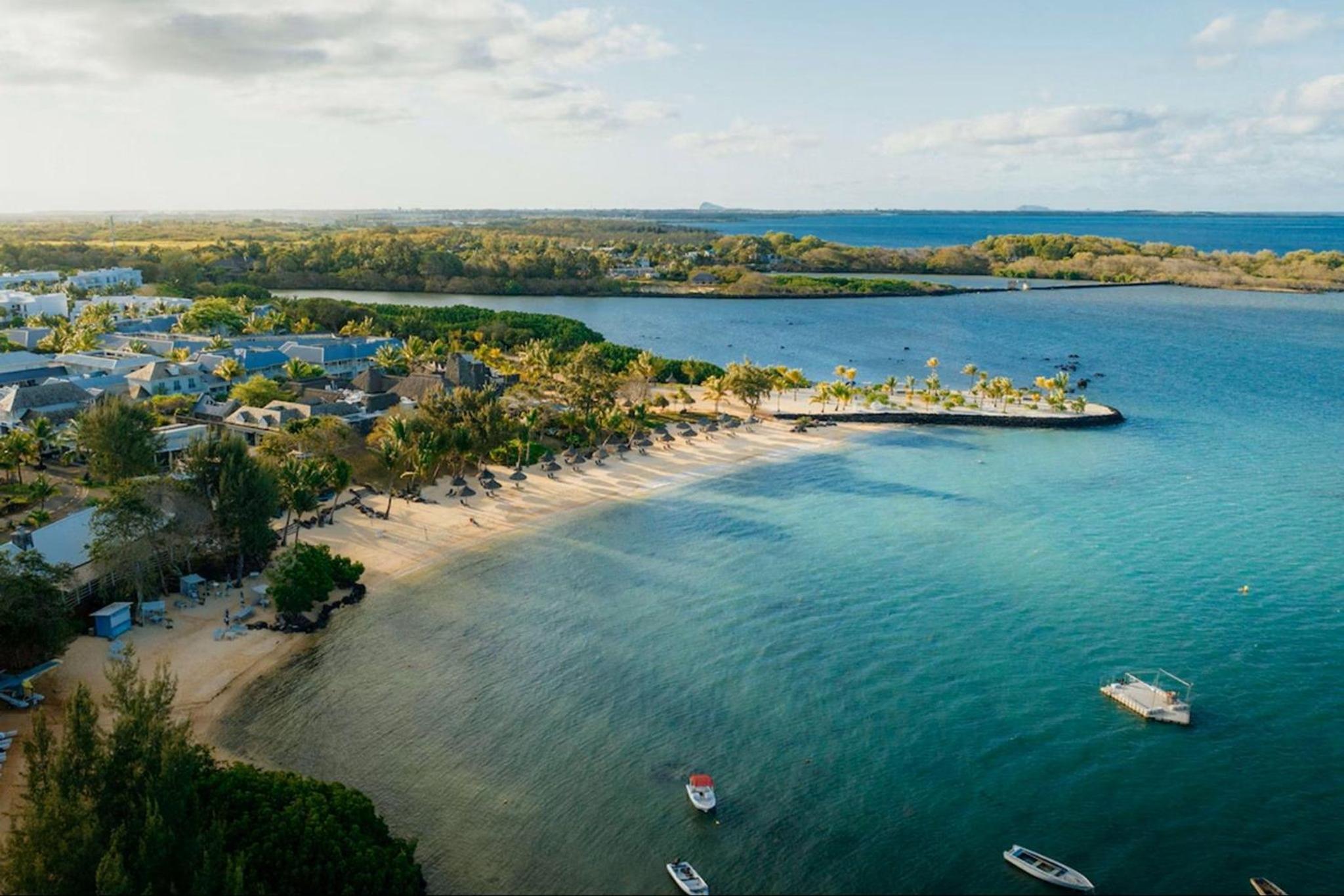 Azuri Soliflore 13 photo 3