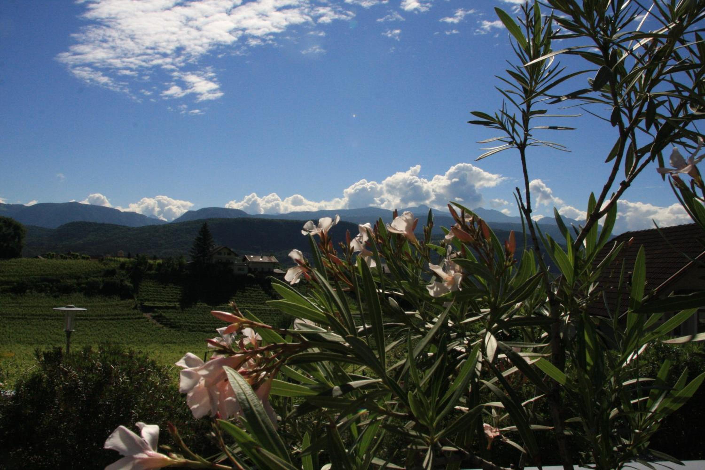 Photo 48