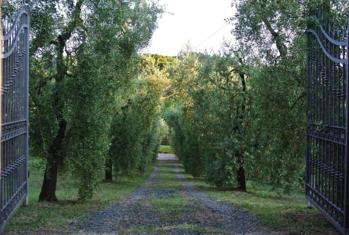 Campo del Rosario