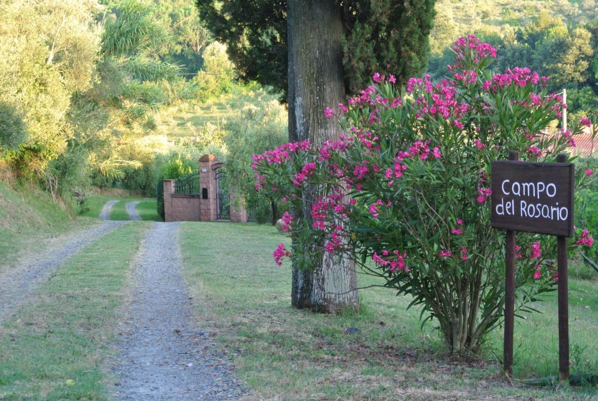 Campo del Rosario